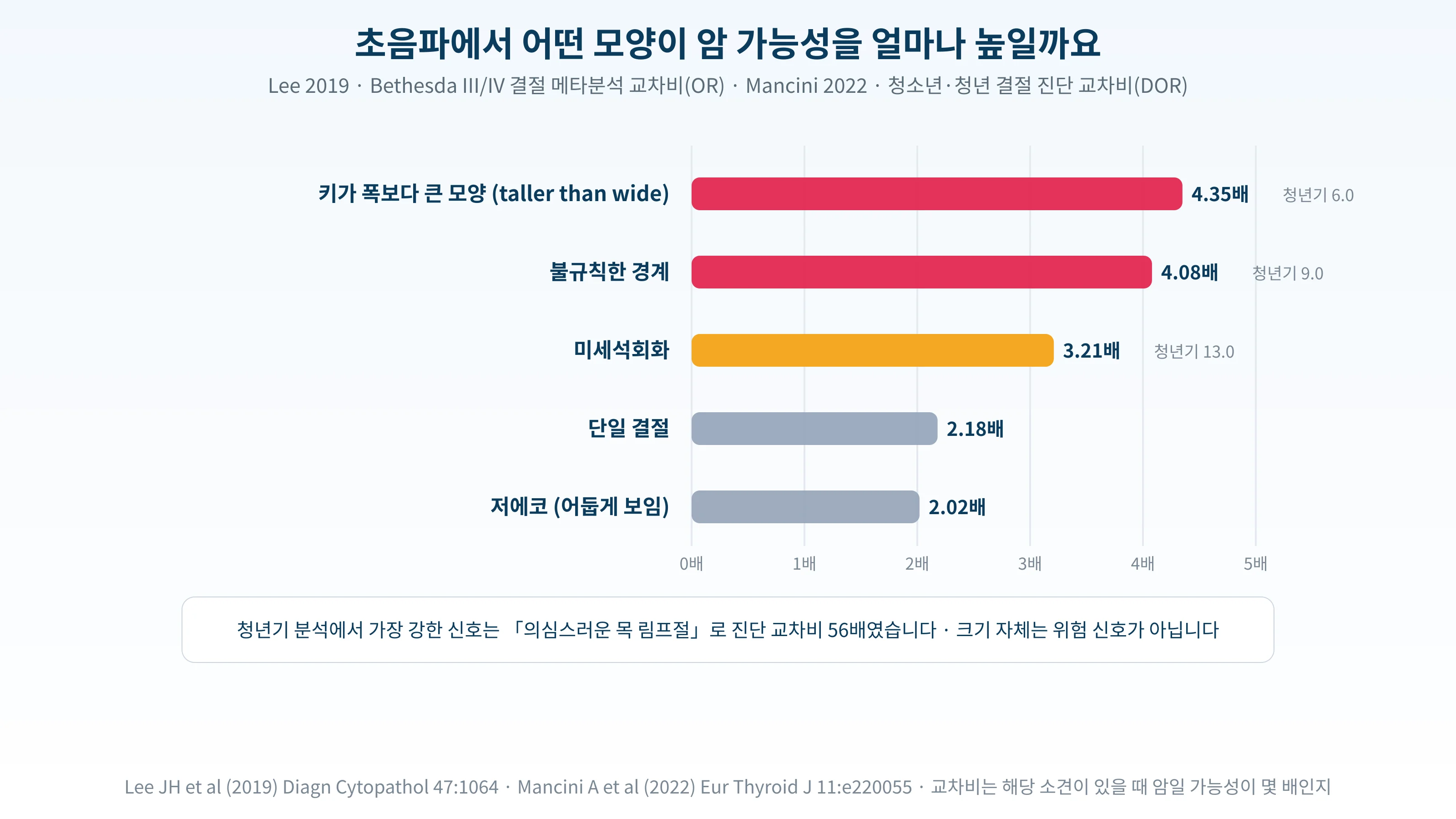 초음파 소견별 암 가능성 교차비를 정리한 도표