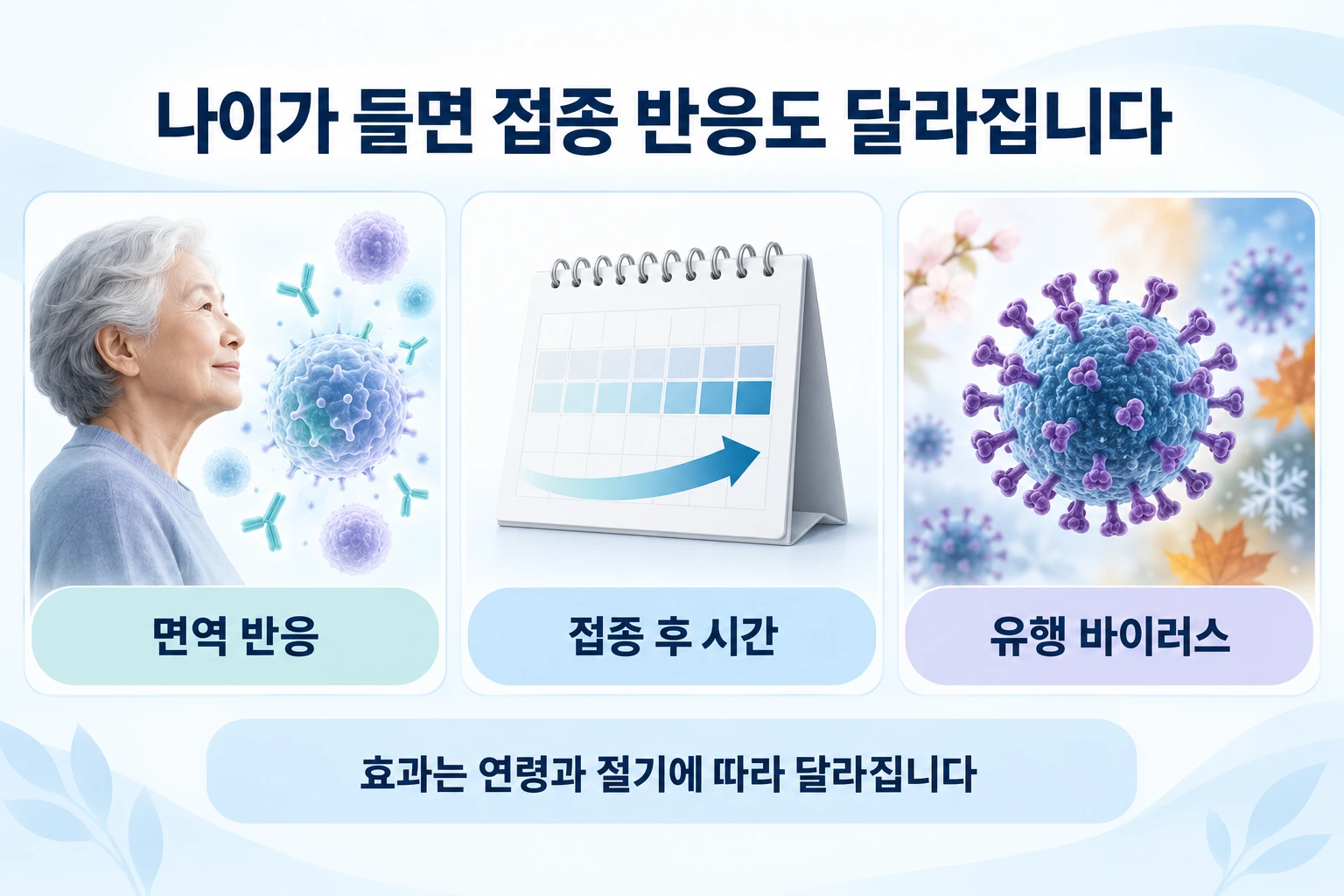 고령자의 면역 반응 접종 후 시간 유행 바이러스가 백신 효과에 영향을 주는 과정