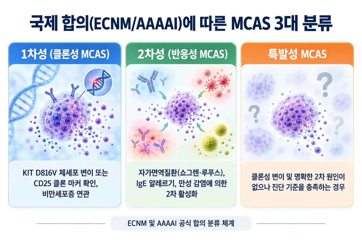 ECNM 및 AAAAI 국제 합의에 따른 MCAS의 3대 분류 체계 모식도