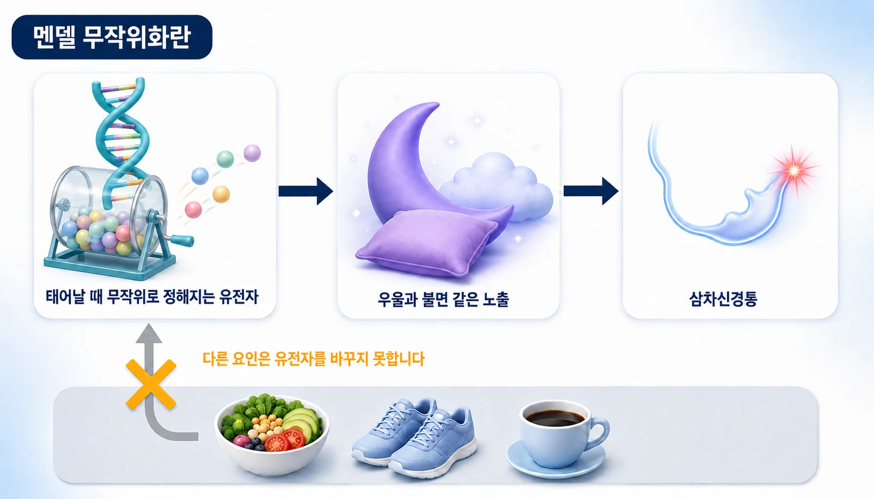 태어날 때 무작위로 정해진 유전자를 이용해 원인과 결과의 방향을 살피는 멘델 무작위화 방법 모식도