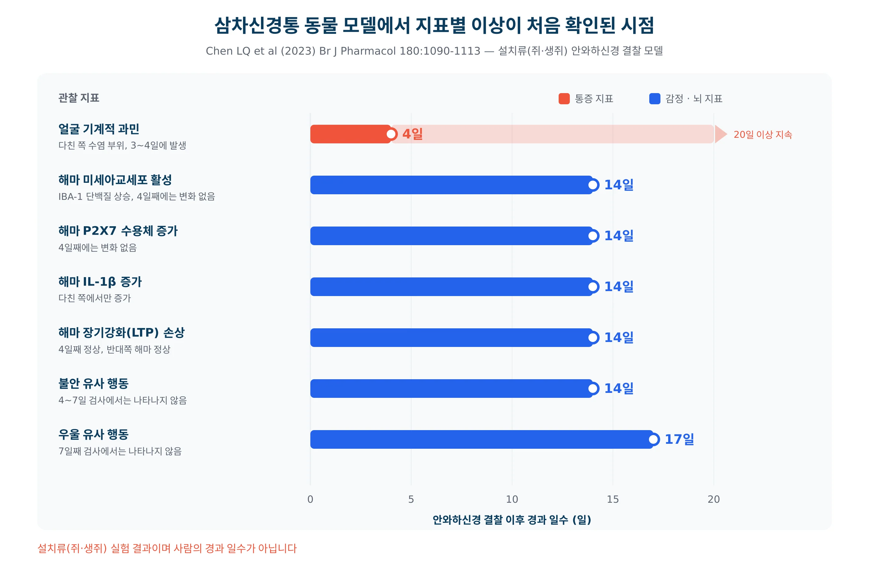 삼차신경통 동물 모델에서 지표별 이상이 나타난 경과 일수