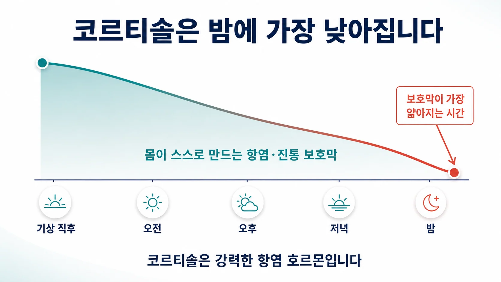 코르티솔이 아침에 가장 높고 밤에 가장 낮아지는 하루 곡선