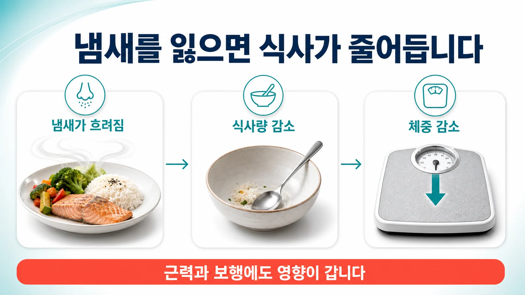 후각 저하가 식사량 감소와 체중 감소로 이어지는 과정을 보여주는 안내 이미지