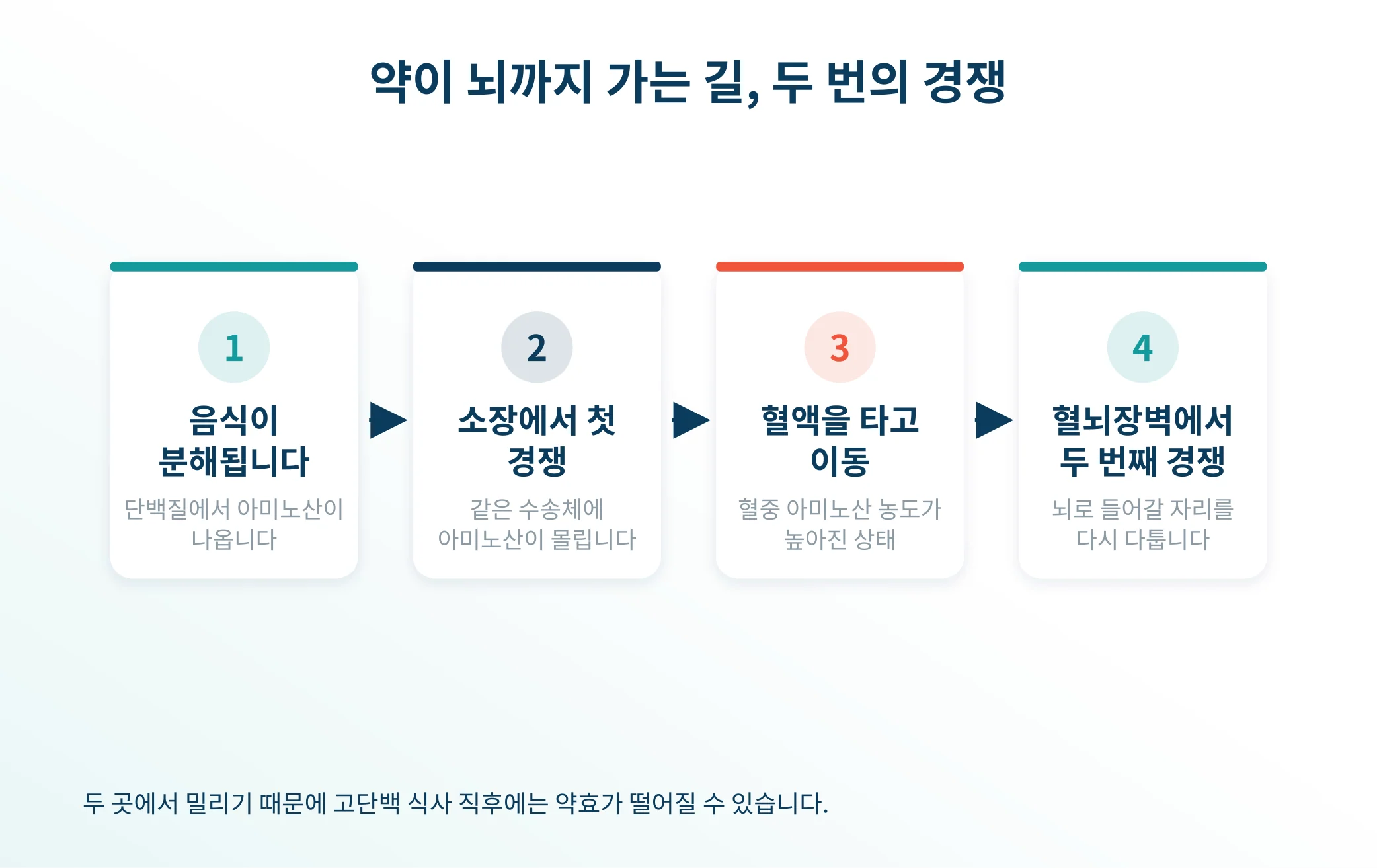 레보도파가 장과 혈뇌장벽 두 곳에서 아미노산과 경쟁하는 과정을 나타낸 도식