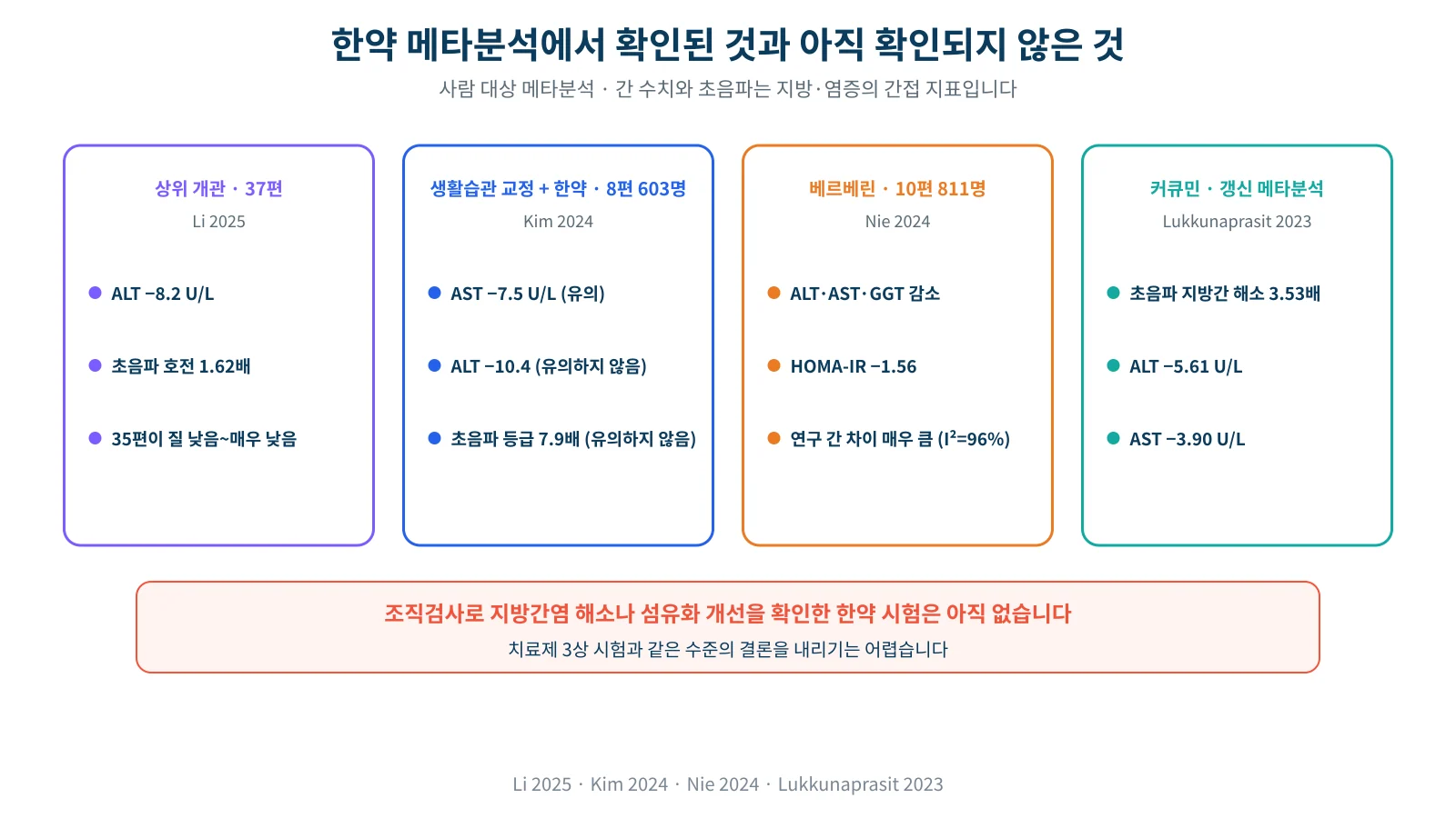 한약 메타분석들에서 확인된 간 수치·초음파·인슐린 저항성 개선과 근거 수준을 정리한 도표