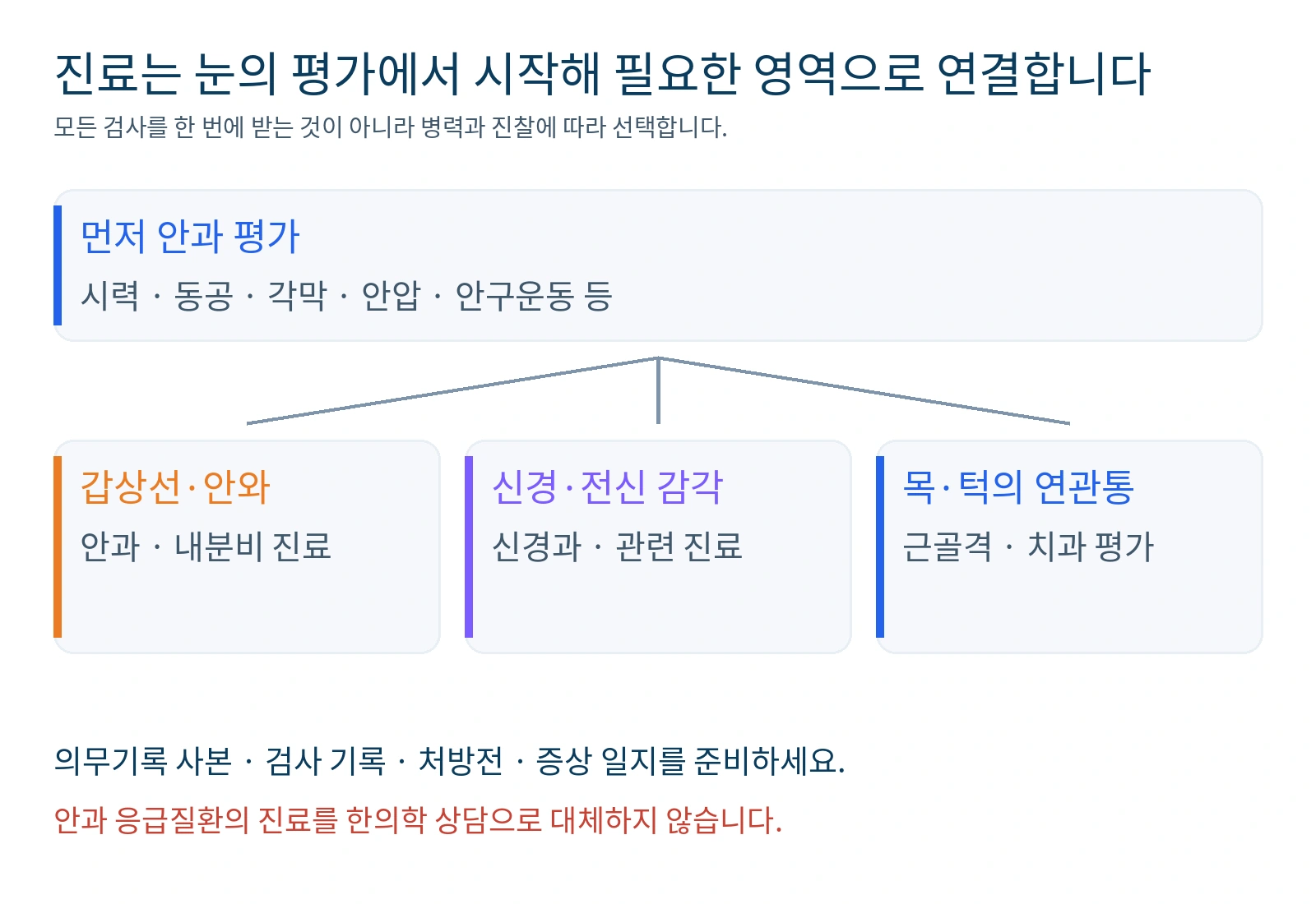 시력과 안구 평가에서 시작해 병력에 따라 갑상선·신경·목과 턱의 평가를 연결하는 진료 흐름도