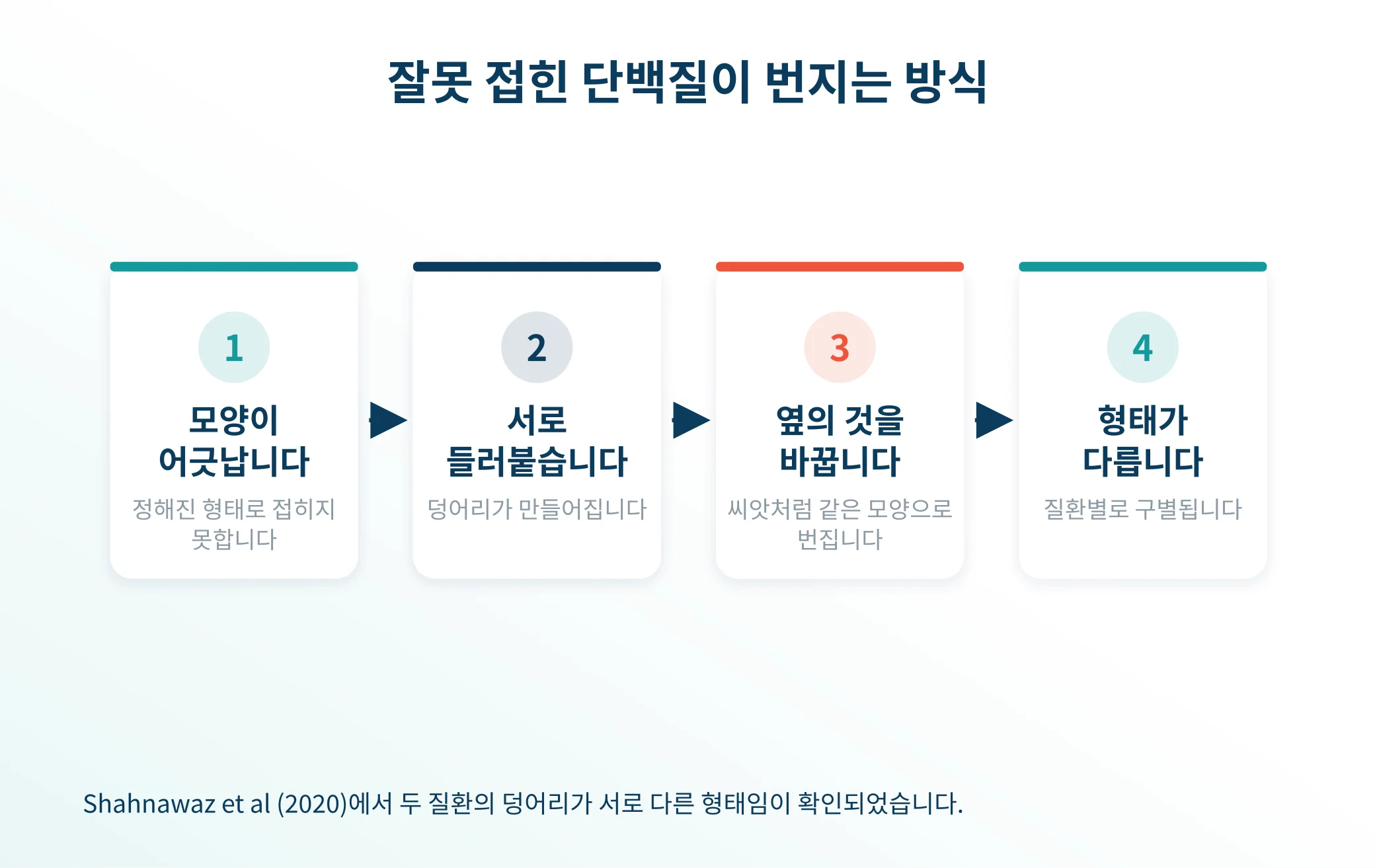 질환마다 다른 형태를 가진다는 발견