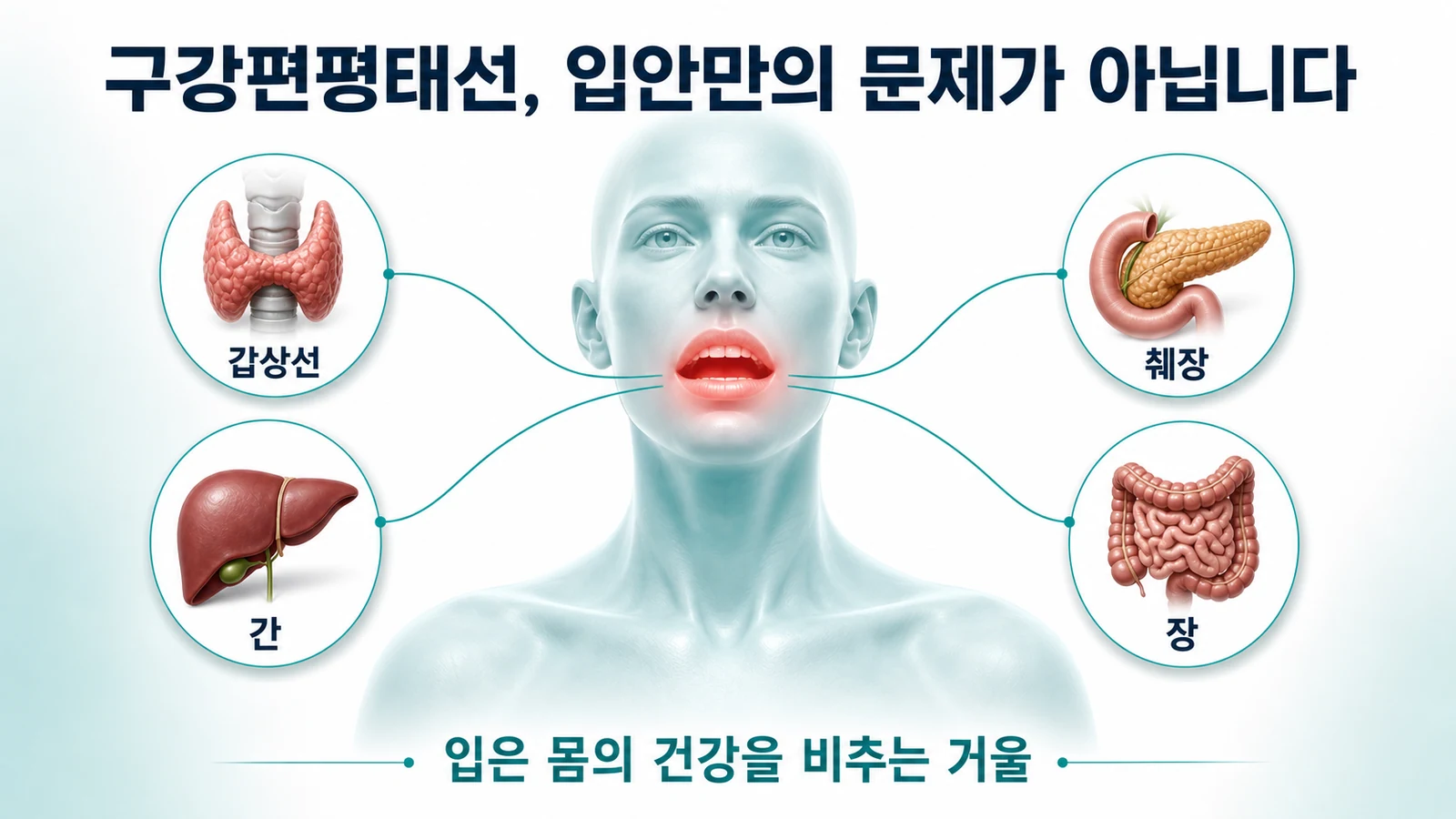 인천 구강편평태선과 전신 질환의 연관성을 입과 몸을 연결한 그림으로 설명한 의료 인포그래픽