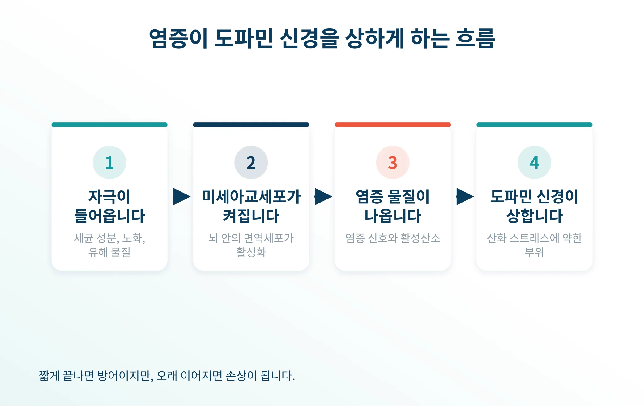 미세아교세포가 활성화되어 도파민 신경을 상하게 하는 흐름