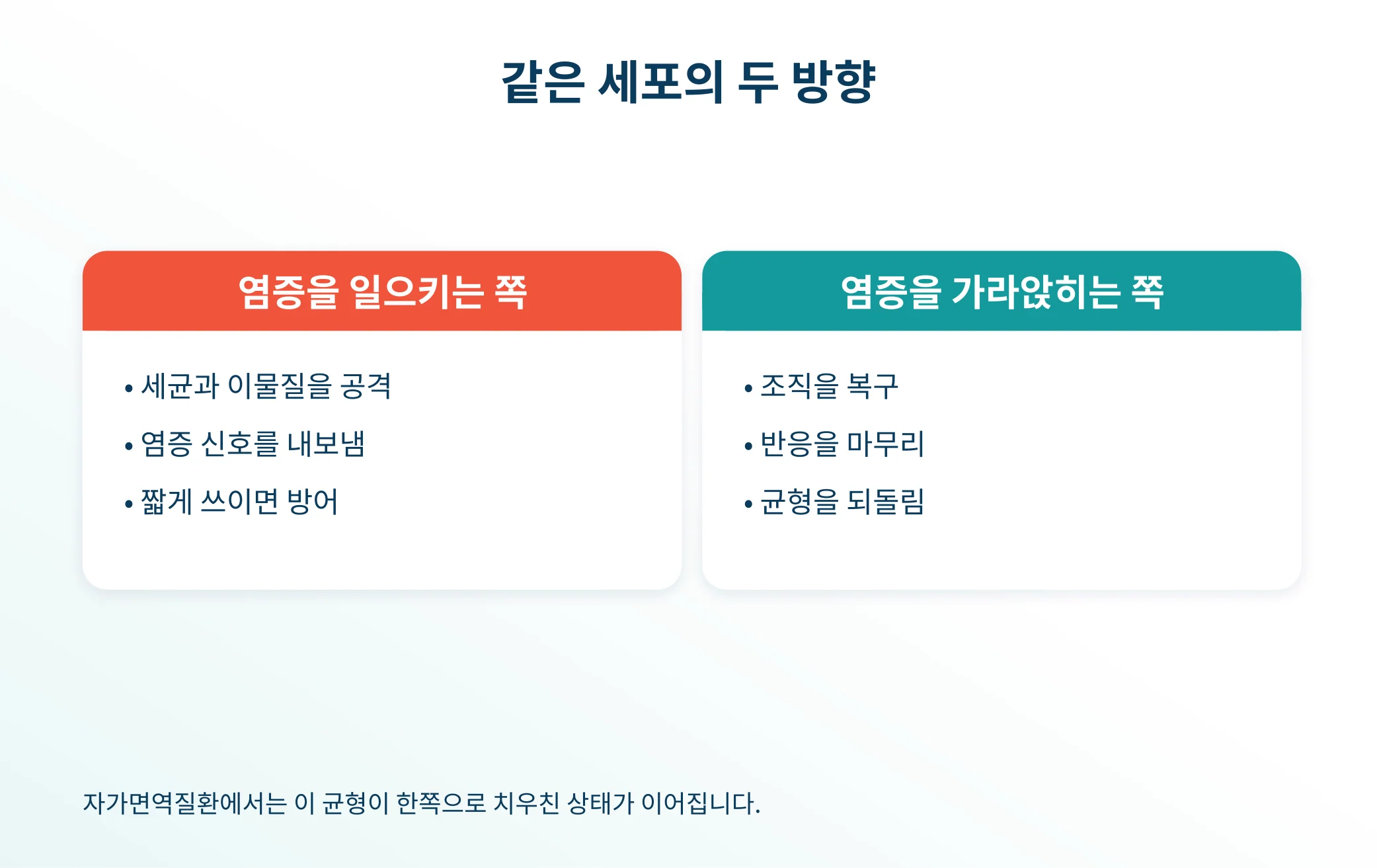 대식세포가 두 방향으로 성격을 바꾸는 구조