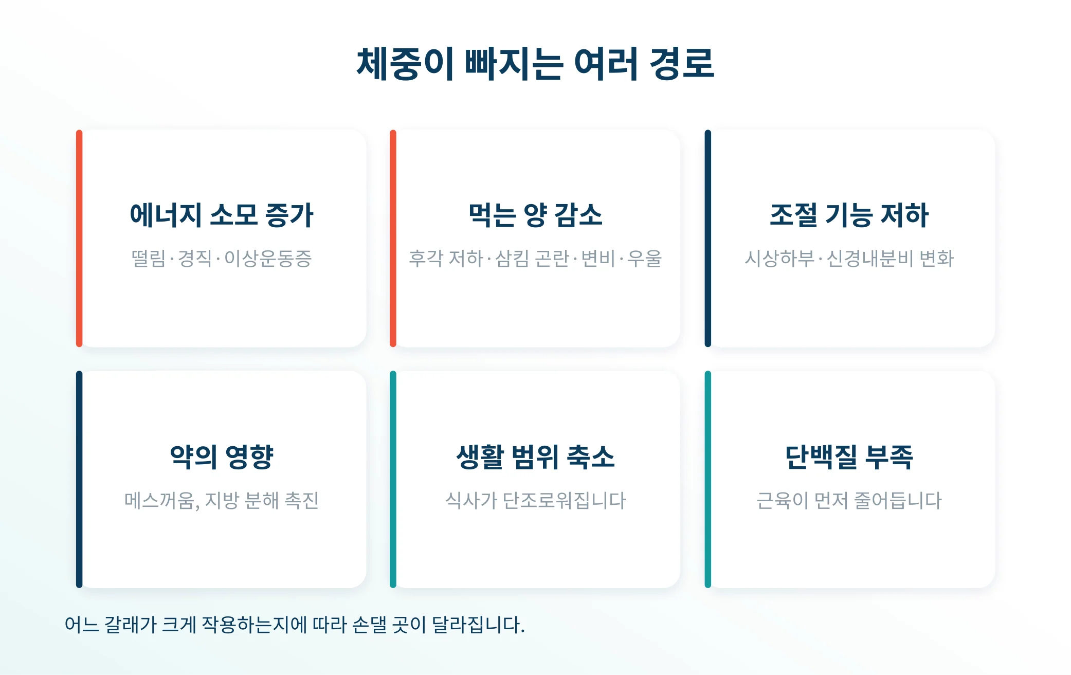 파킨슨병에서 체중이 빠지는 다섯 가지 경로를 정리한 안내 이미지