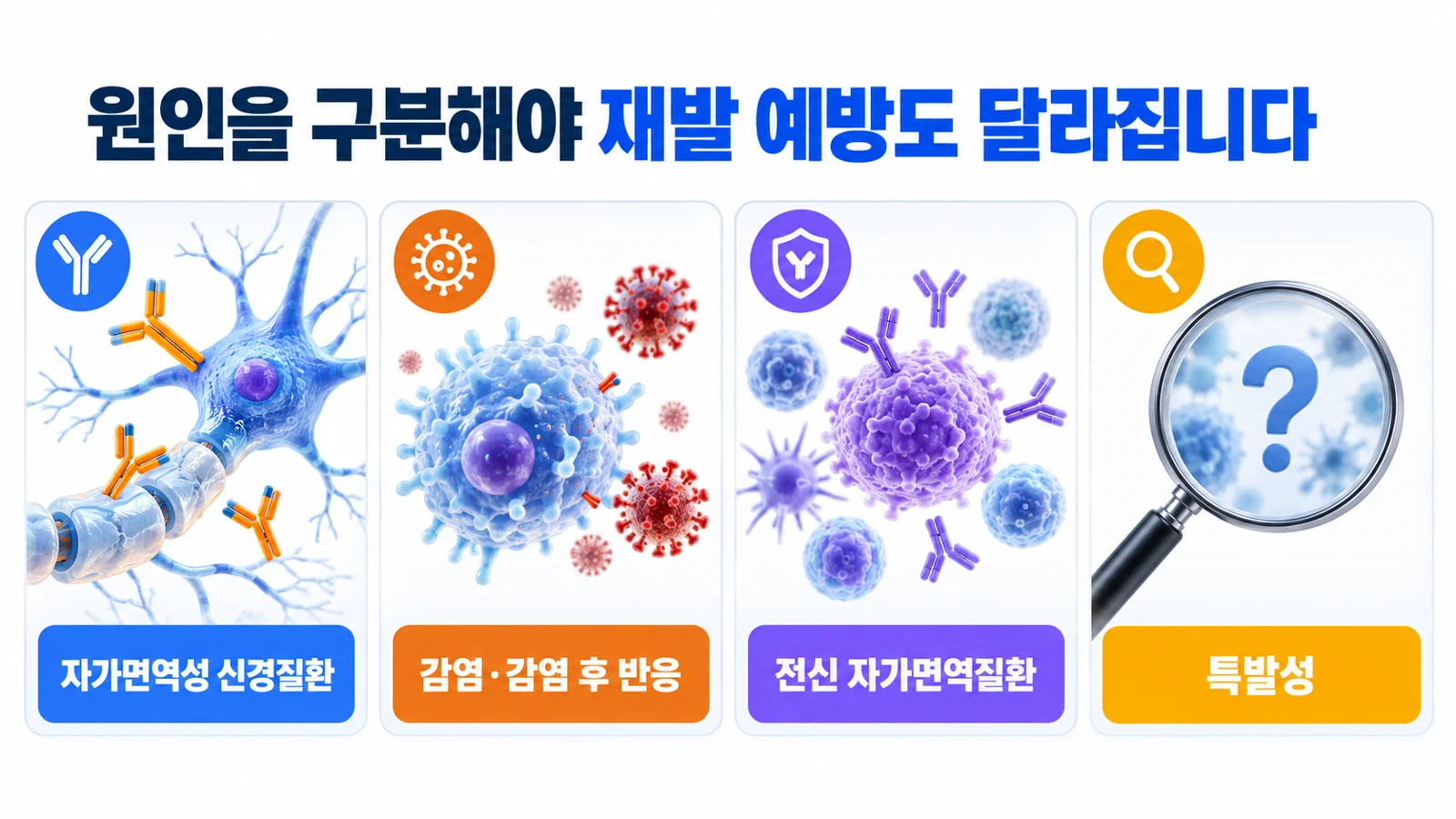 자가면역성 신경질환과 감염 및 전신 자가면역질환과 특발성을 구분한 설명 그림