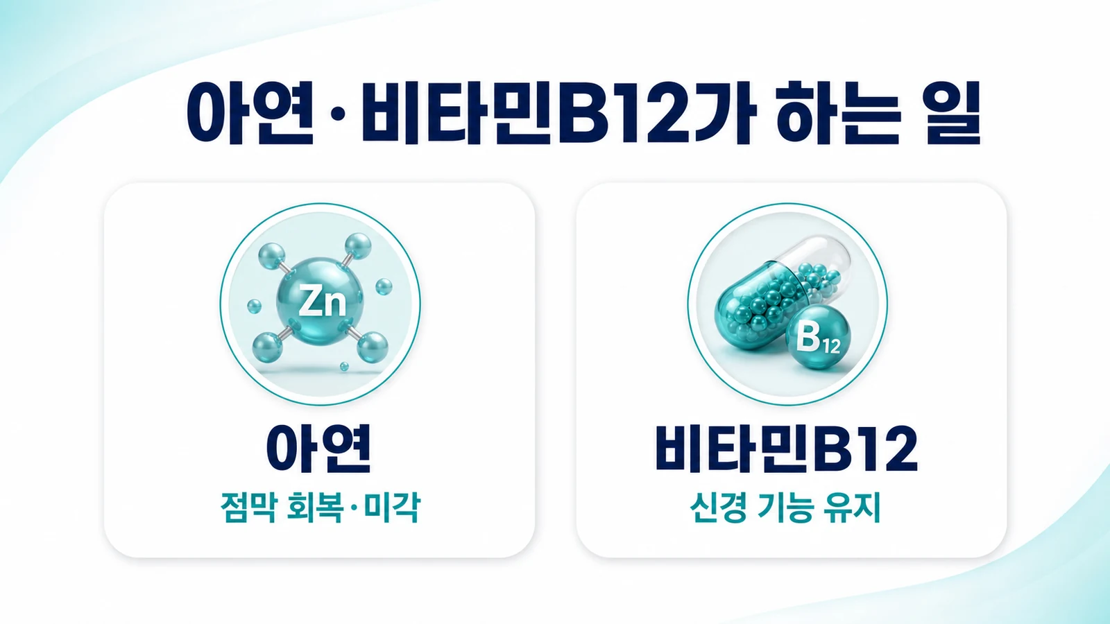 아연·비타민B12가 하는 일