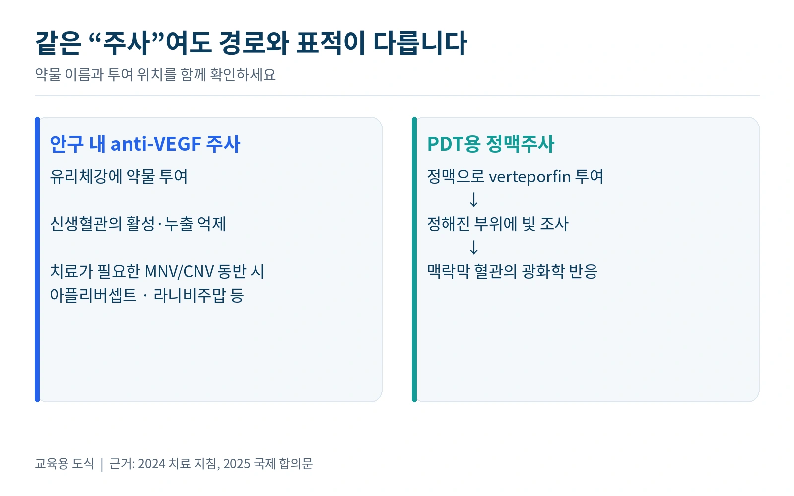 안구 내 anti-VEGF와 정맥주사 후 PDT의 투여 경로와 표적 비교