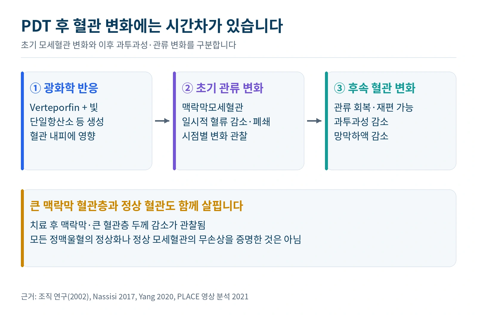 PDT의 광화학 반응과 초기 모세혈관 변화, 이후 관류·과투과성 변화를 구분한 흐름도