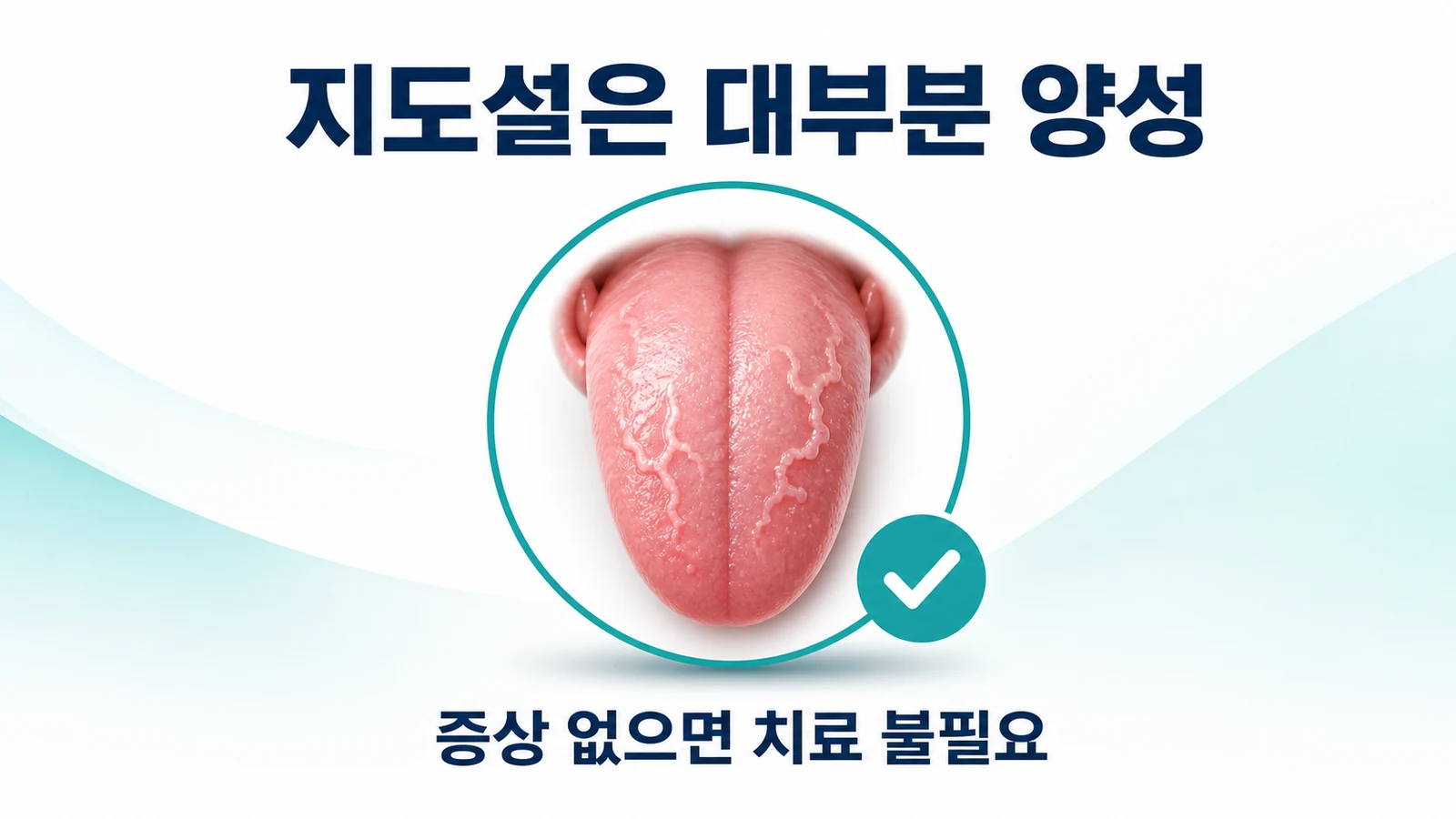 지도설은 대부분 양성