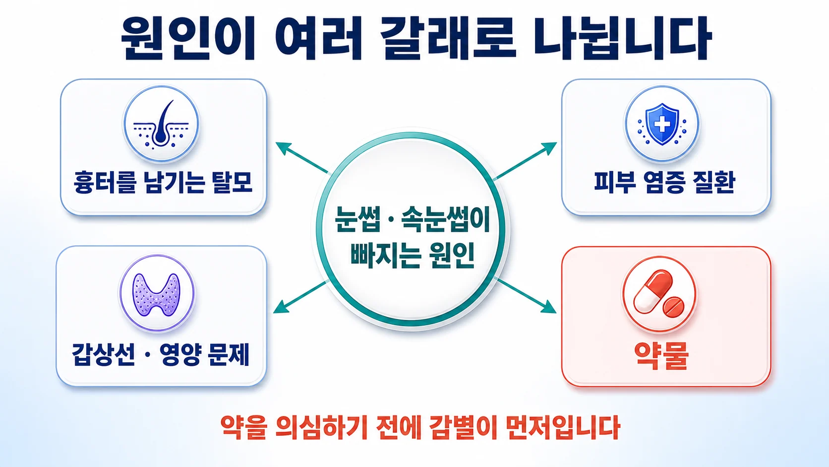 눈썹과 속눈썹이 빠지는 여러 원인 갈래를 정리한 도식