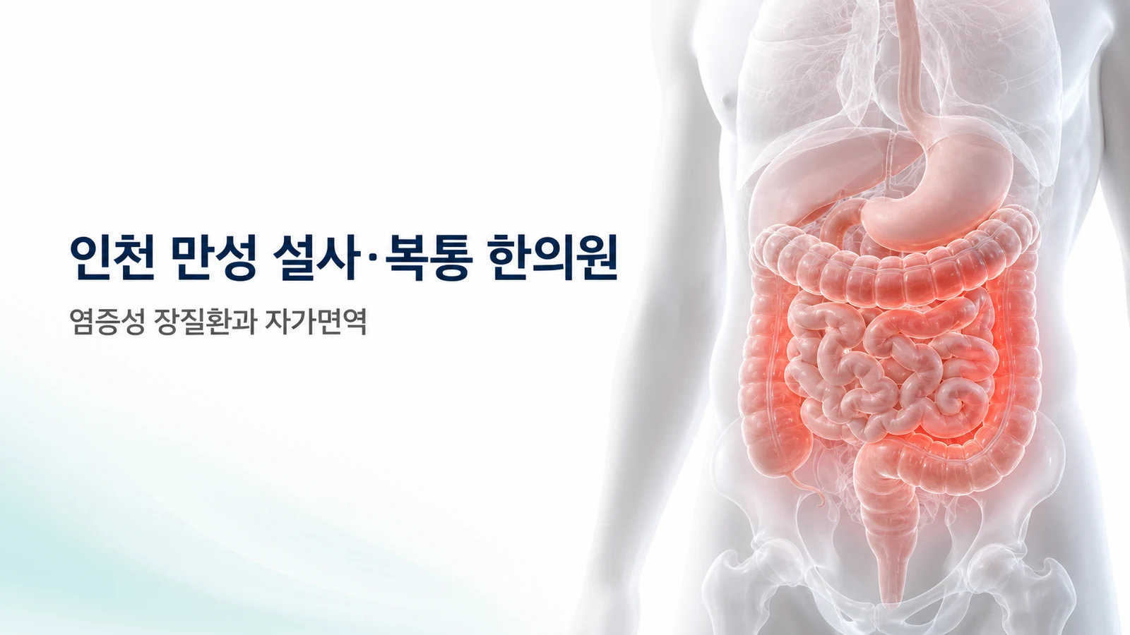 인천 만성 설사·복통 한의원 — 염증성 장질환과 자가면역