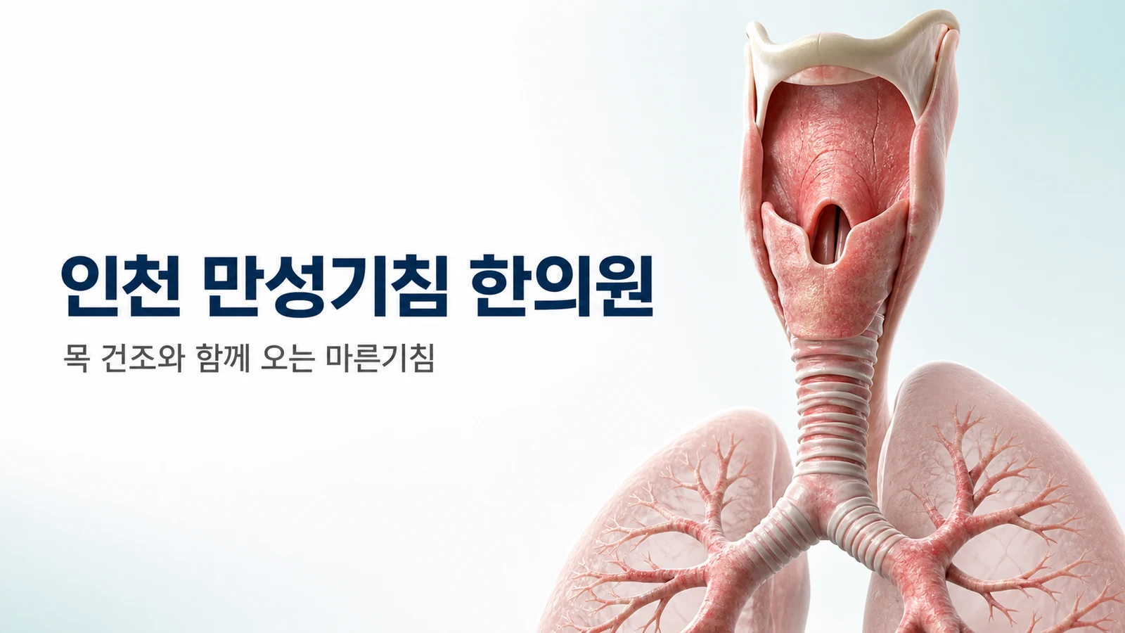 만성기침 — 목 건조와 함께 오는 마른기침 치료