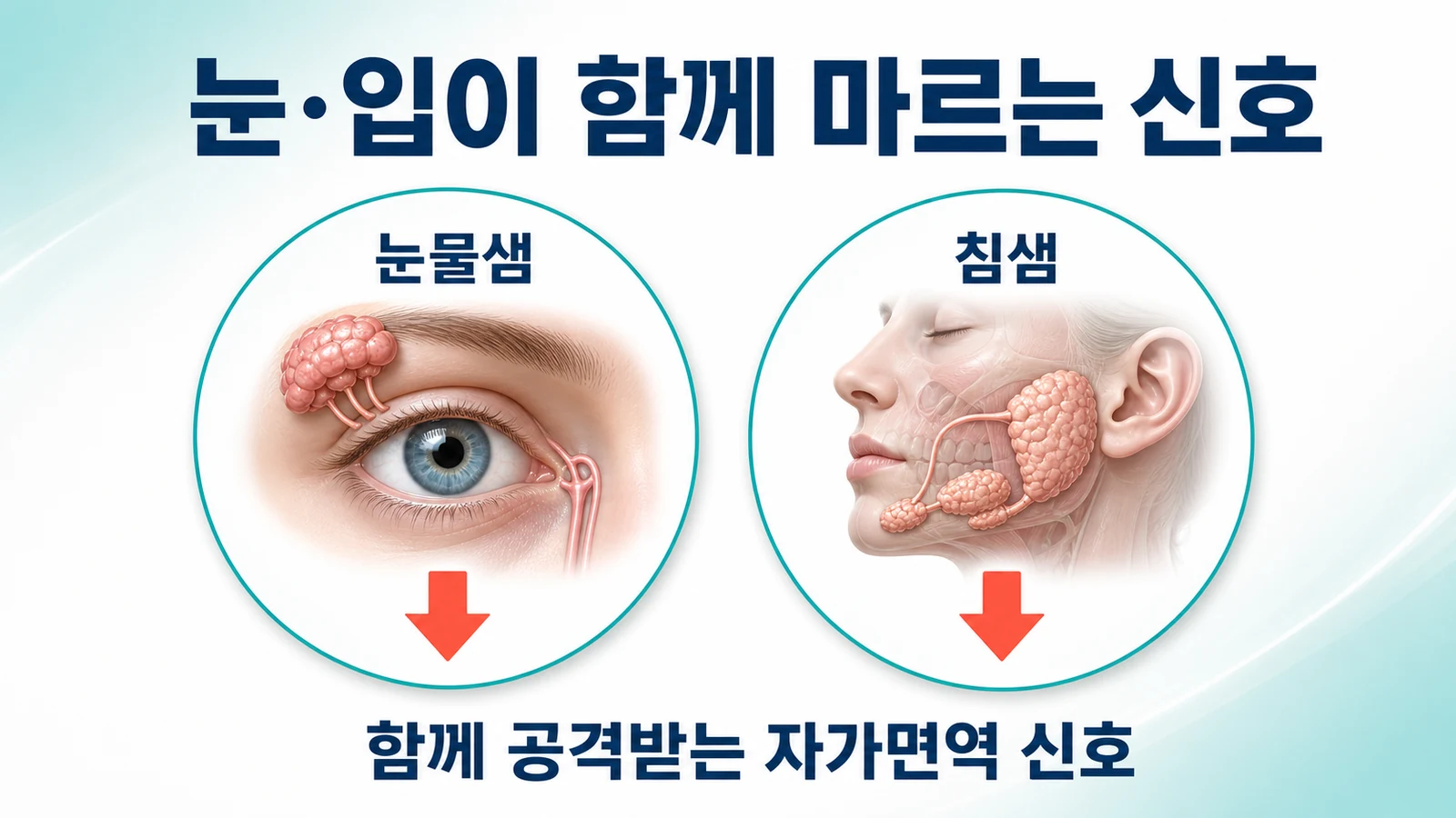 눈·입이 함께 마르는 신호