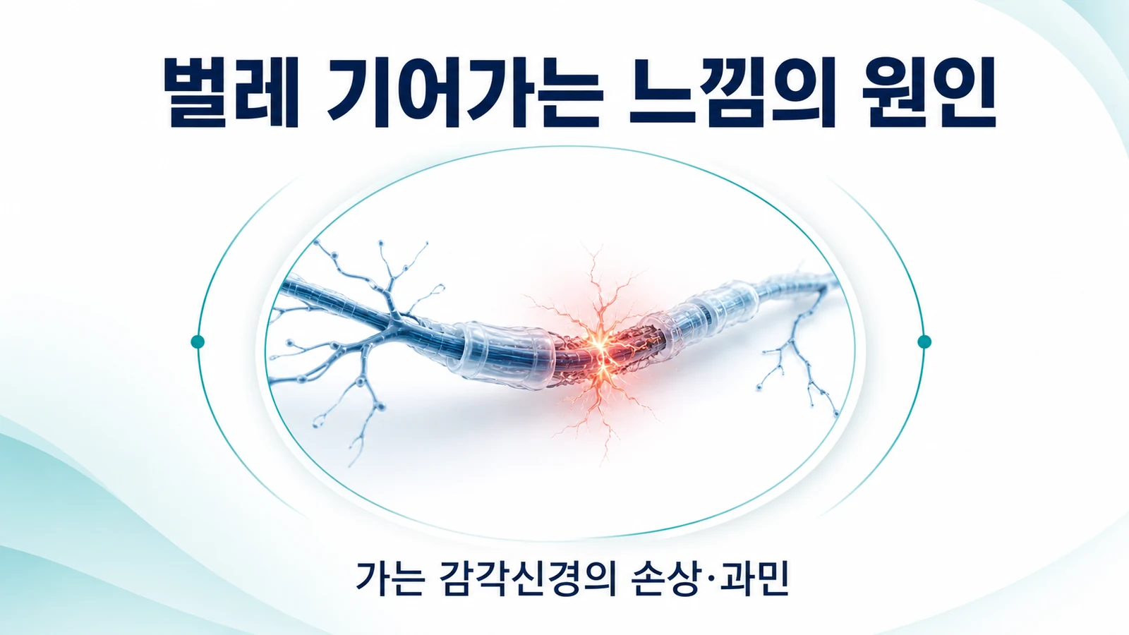 벌레 기어가는 느낌의 원인