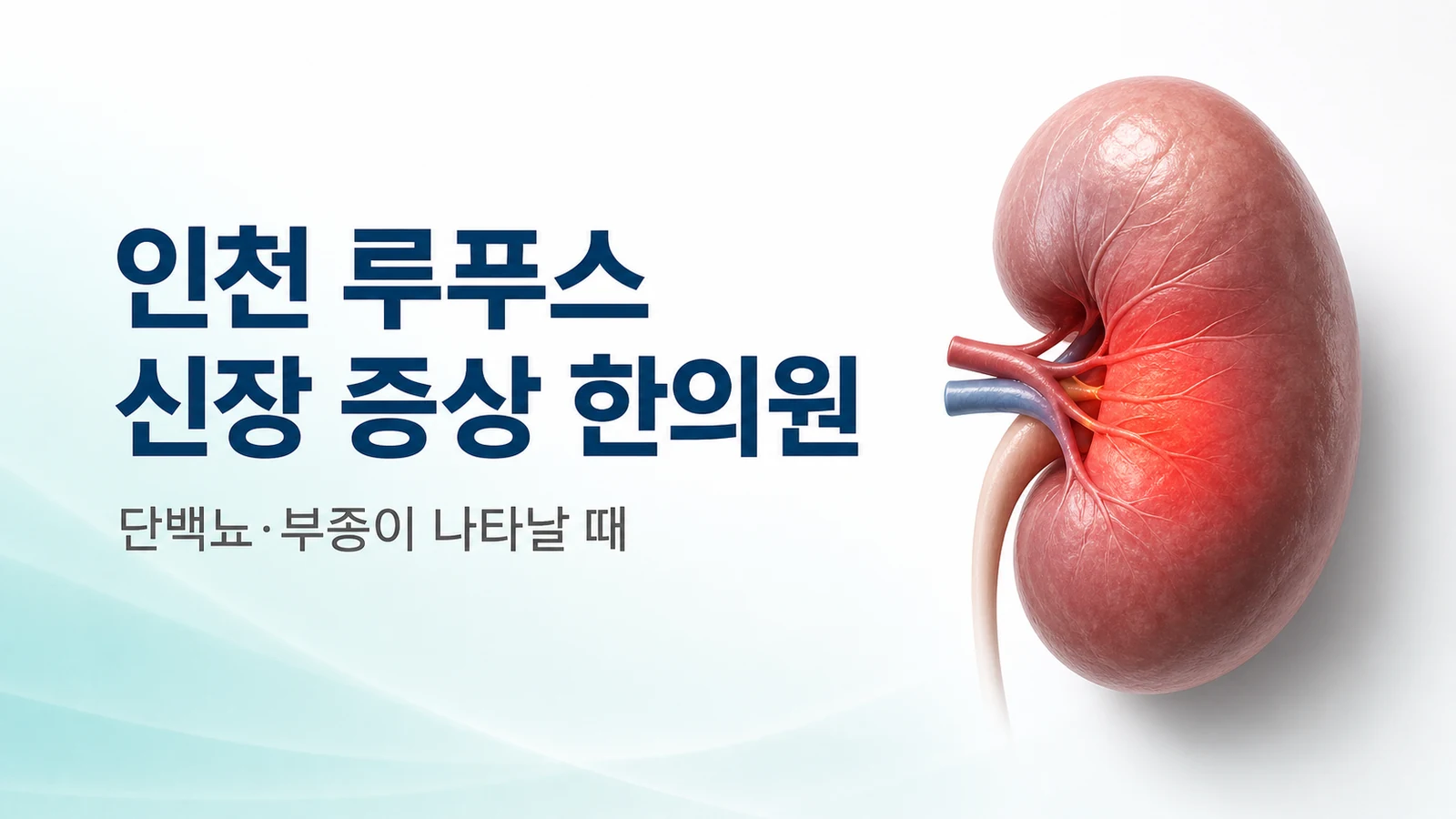 루푸스 신장 증상 — 루푸스 신염, 단백뇨·부종 관리