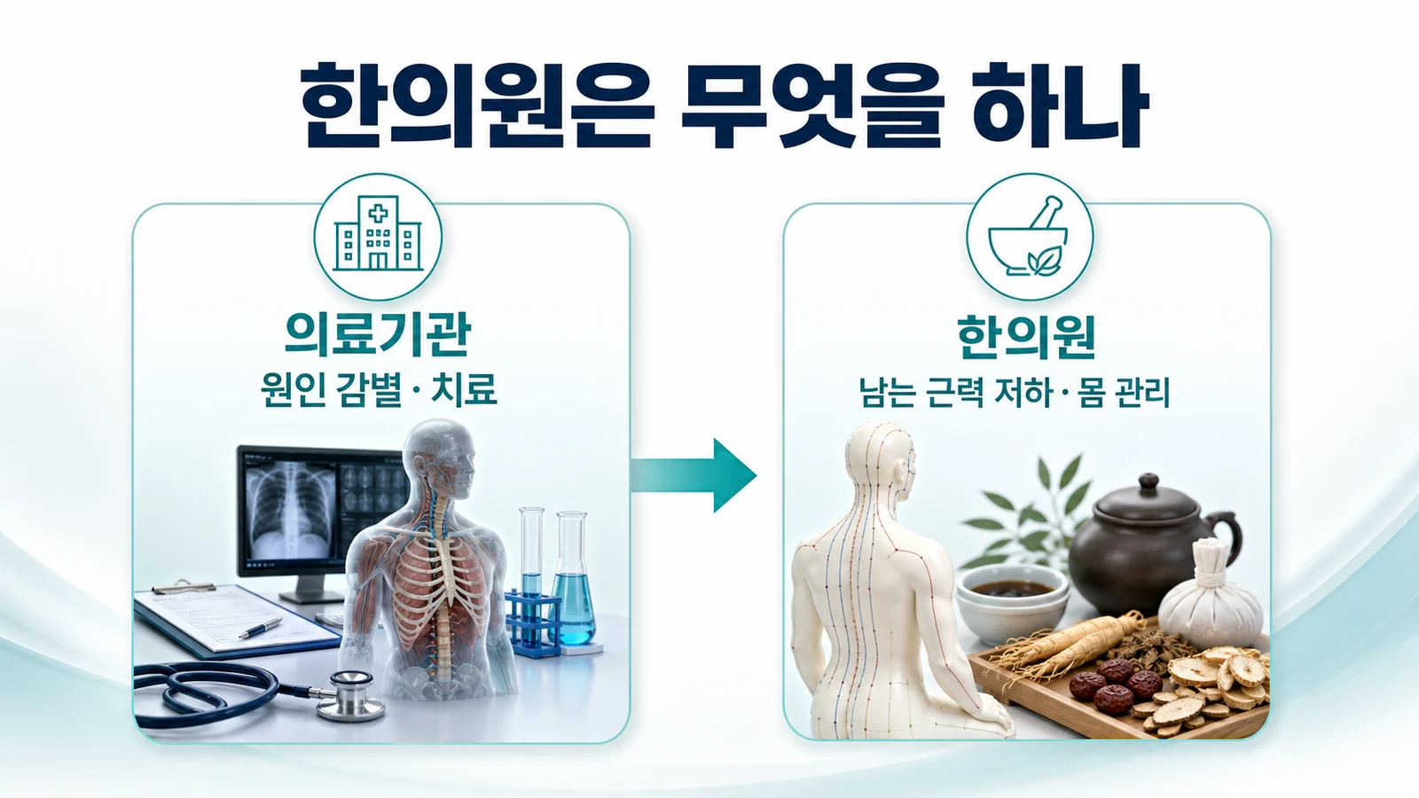 인천 근력 저하·근육 약화 한의원의 접근