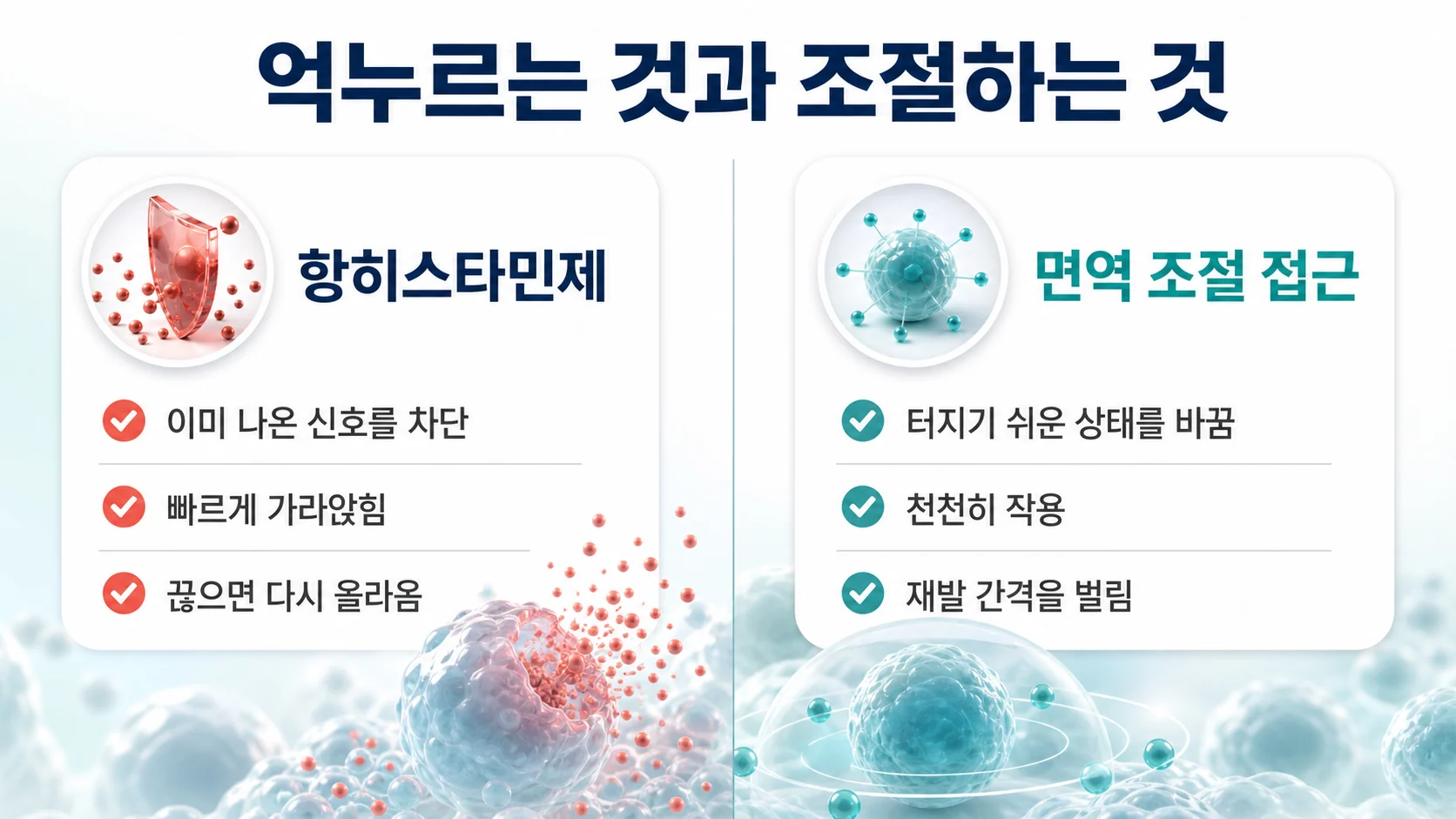 항히스타민제와 면역 조절 접근의 차이를 비교한 이미지