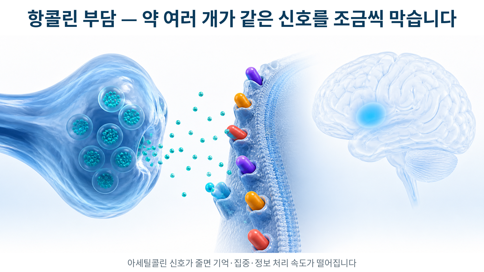 아세틸콜린 수용체가 여러 약물에 막혀 기억·집중 신호가 줄어드는 항콜린 부담의 원리를 표현한 3D 의료 일러스트