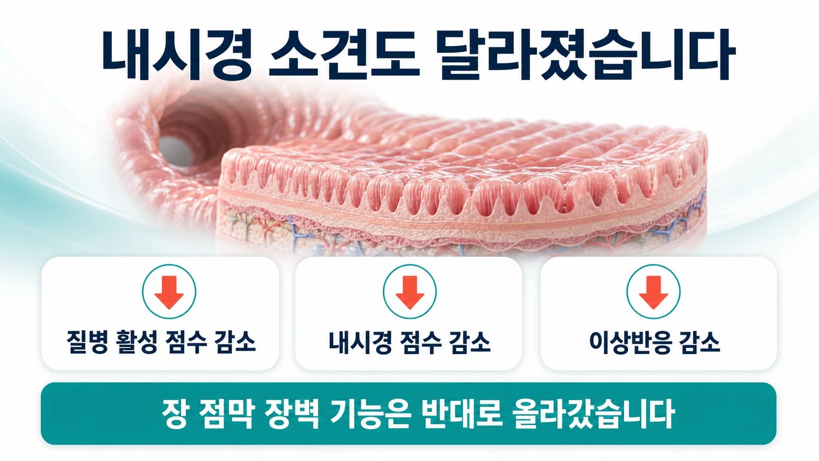 내시경 소견과 장벽 기능의 변화를 정리한 이미지