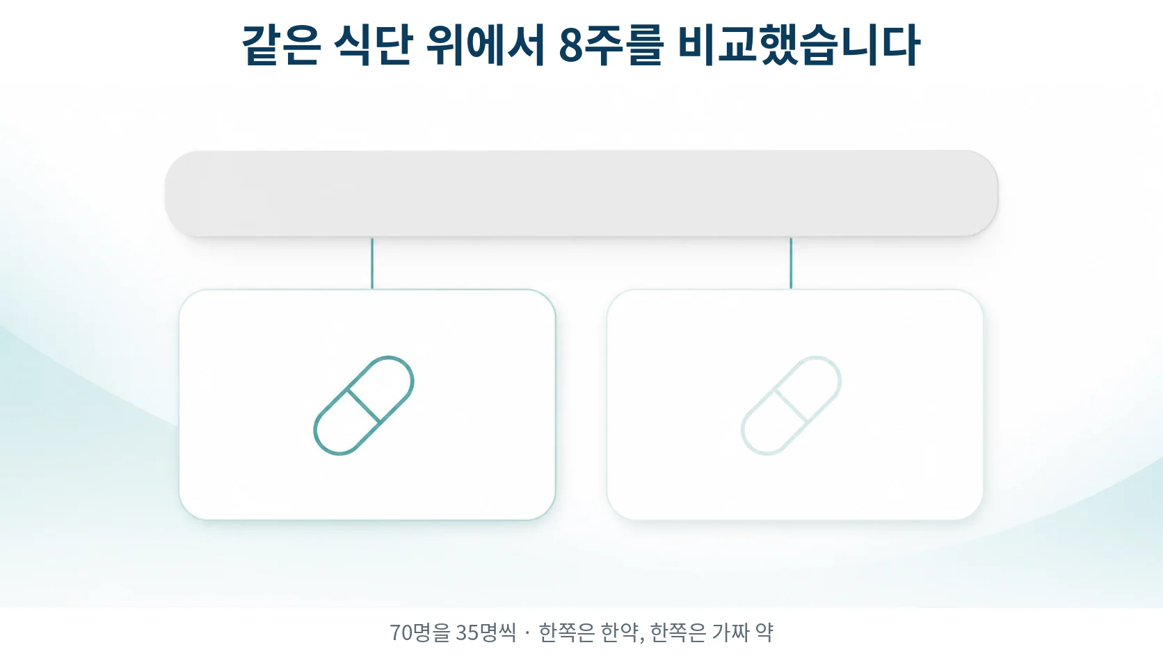 두 무리로 나누어 8주를 비교했습니다