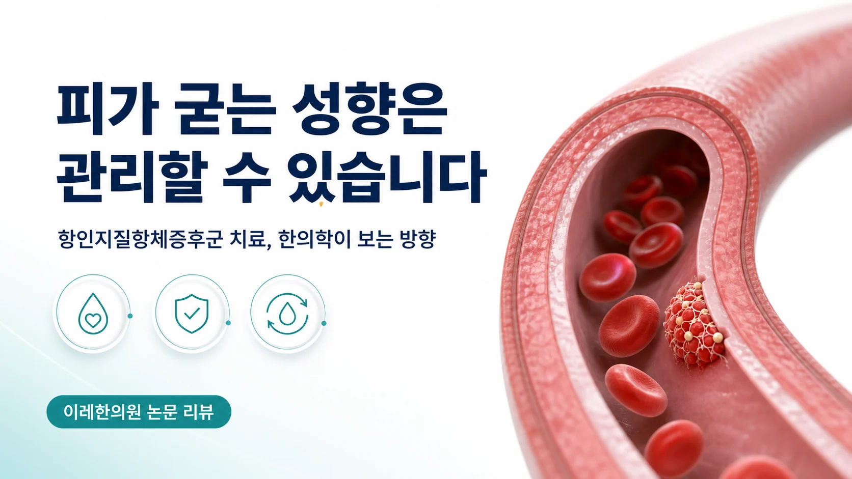 피가 굳는 성향은 관리할 수 있다는 주제의 항인지질항체증후군 글 표지 이미지