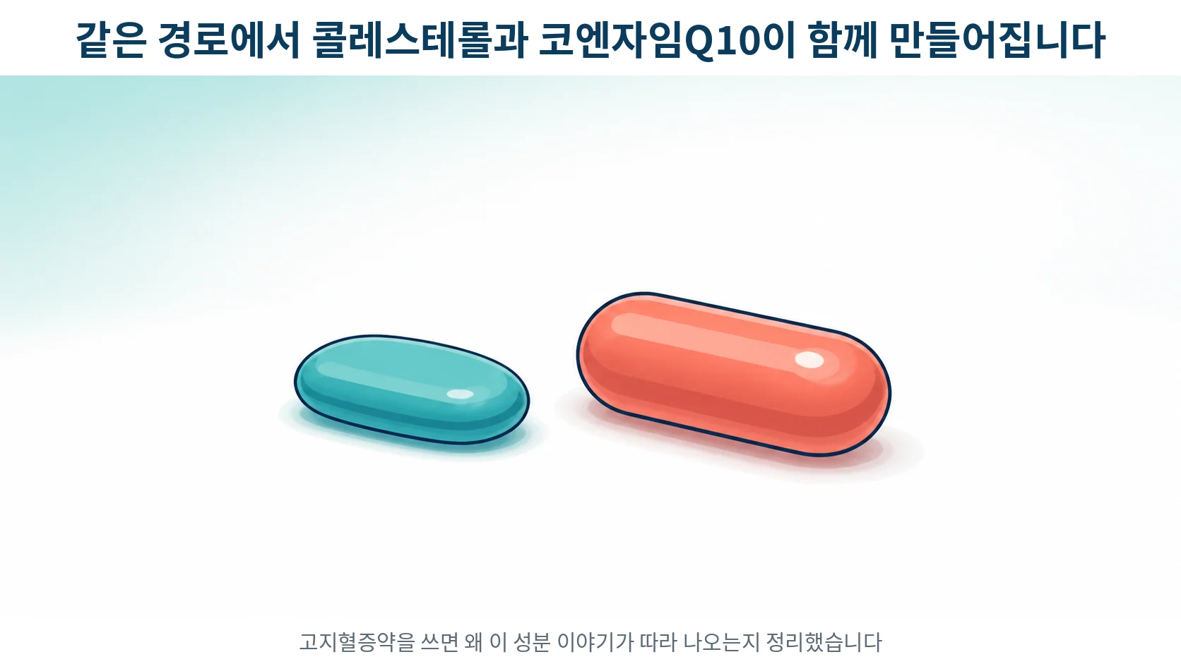 고지혈증약과 코엔자임Q10을 함께 먹으라는 말의 분자생물학적 근거