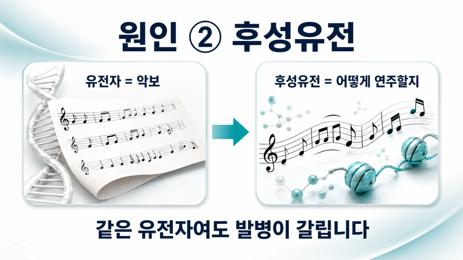 원인 ② 후성유전 — 같은 유전자여도 발병이 갈린다