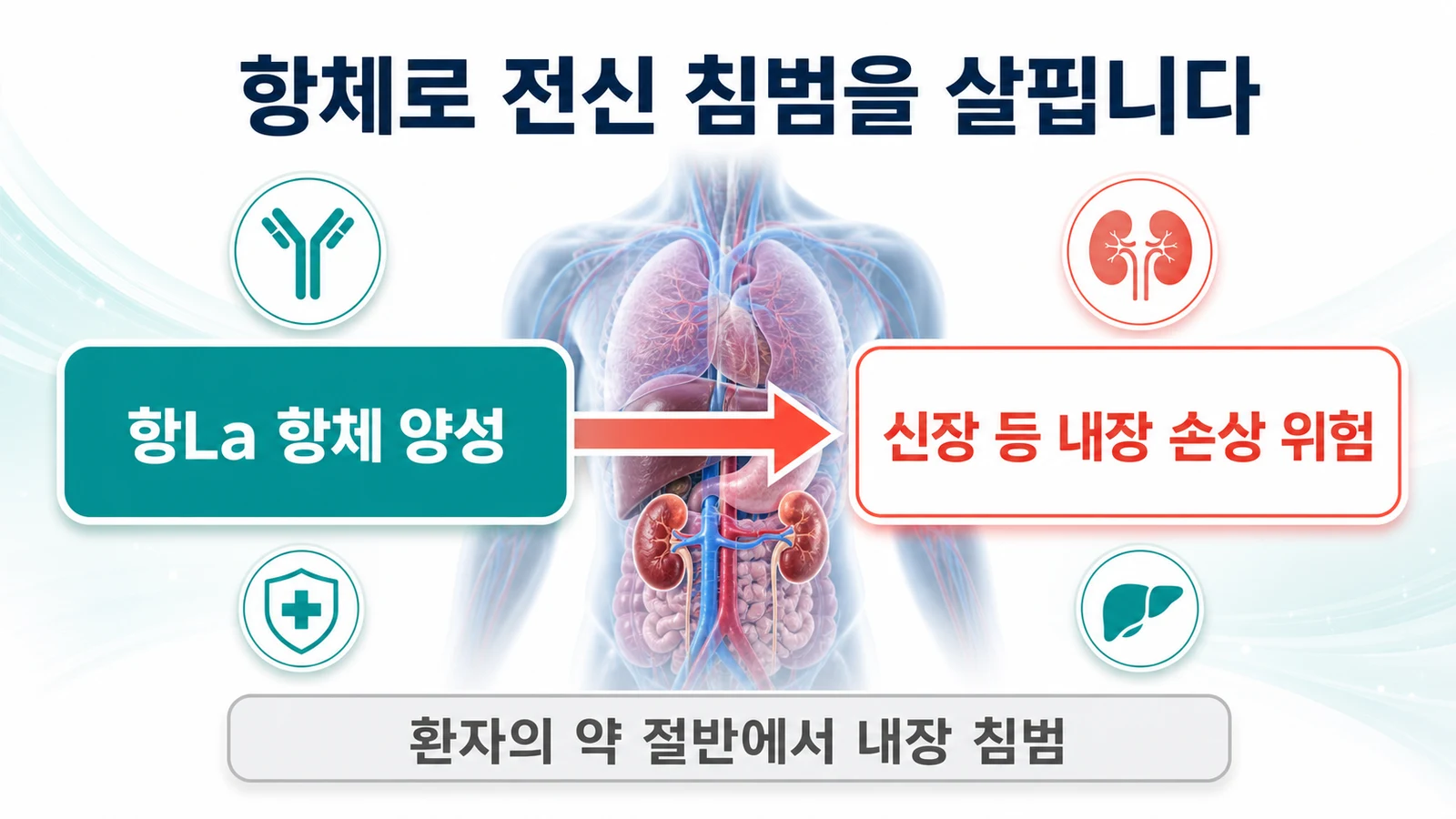 항La 항체 양성 → 신장 등 내장 손상 위험