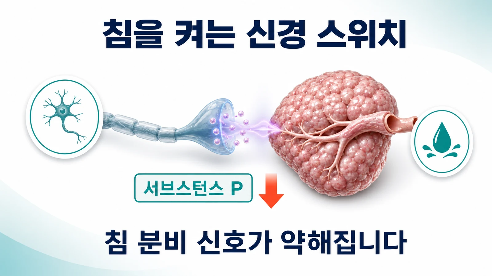 침을 켜는 신경 신호물질이 줄어듭니다
