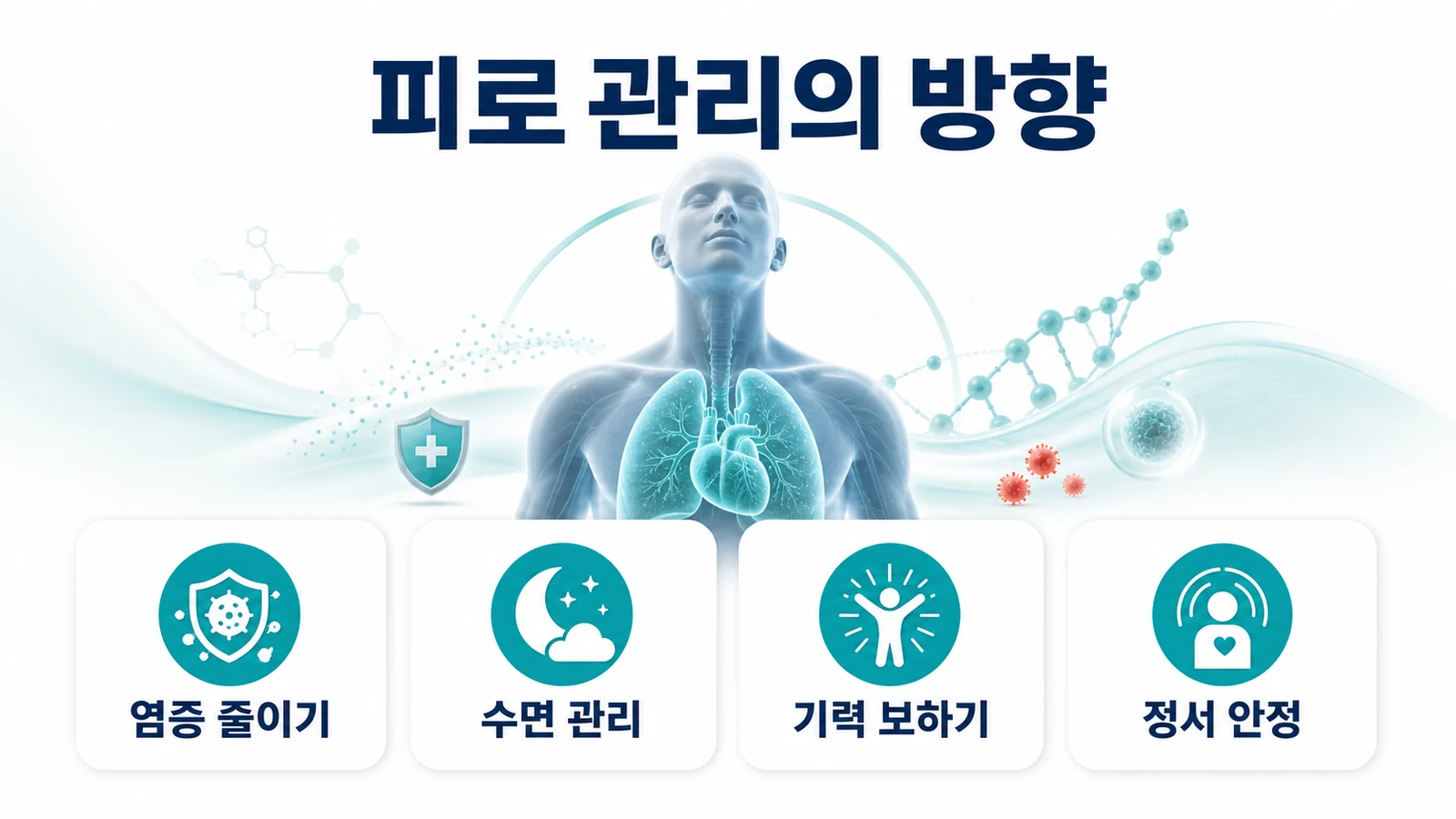 피로 관리의 방향 — 염증·수면·기력·정서
