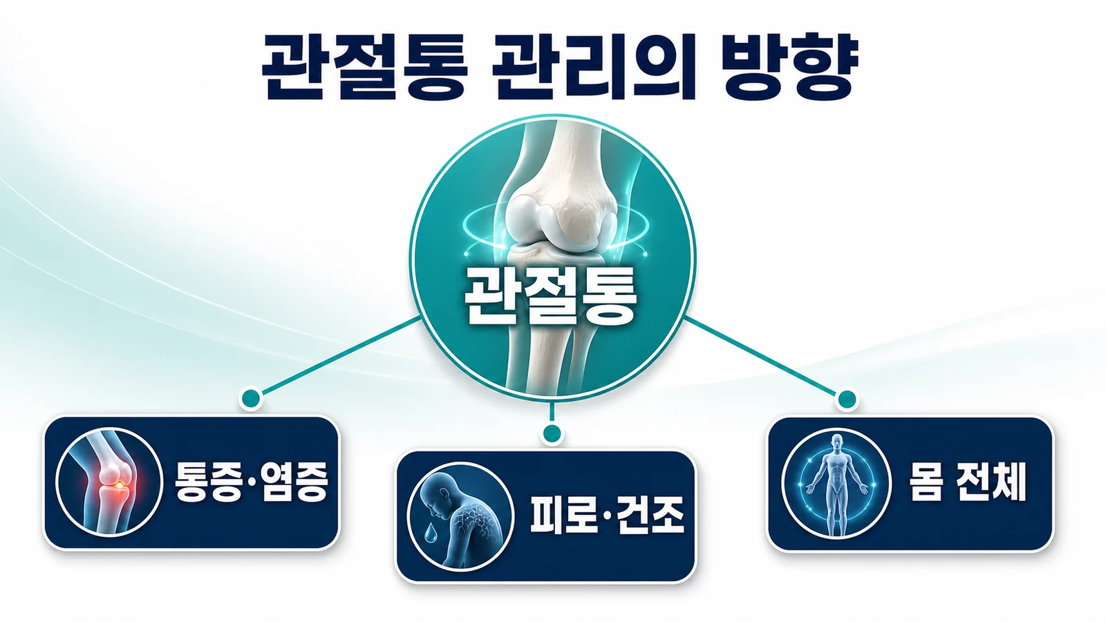 관절통 관리의 방향
