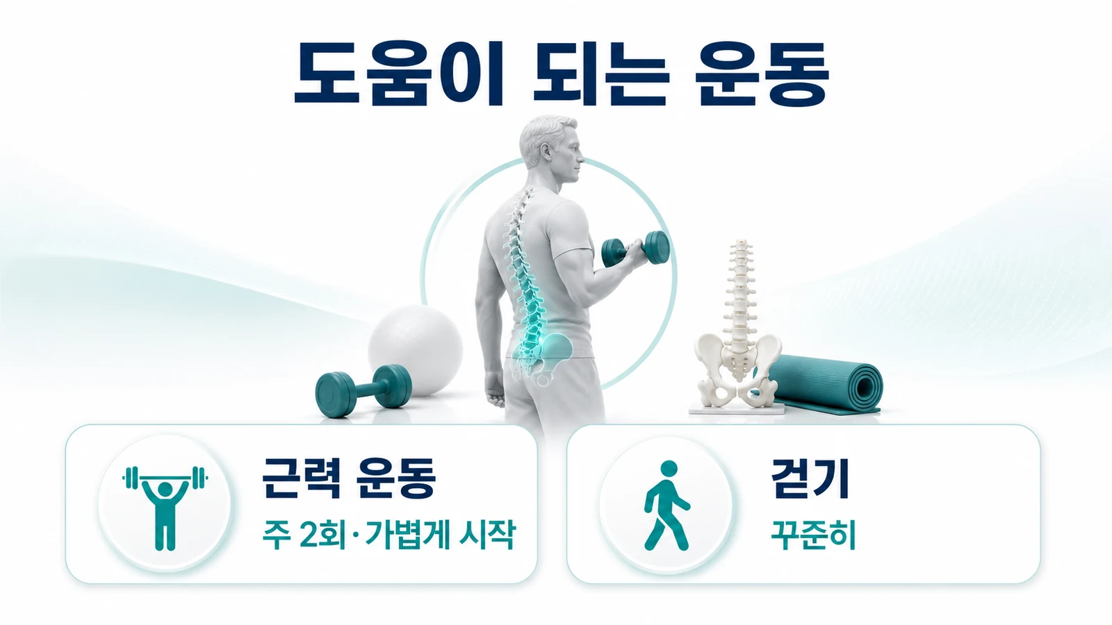 도움이 되는 운동