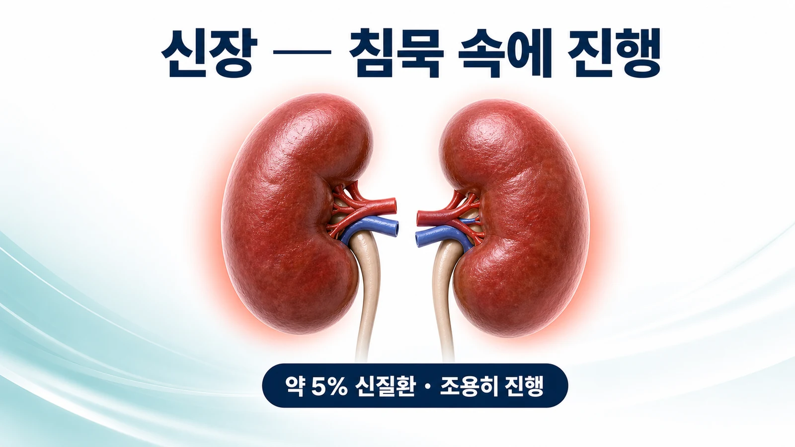 신장 — 침묵 속에 진행