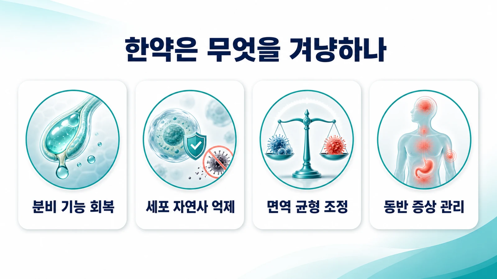한약이 겨냥하는 네 축 — 분비 기능·세포 자연사·면역·동반 증상