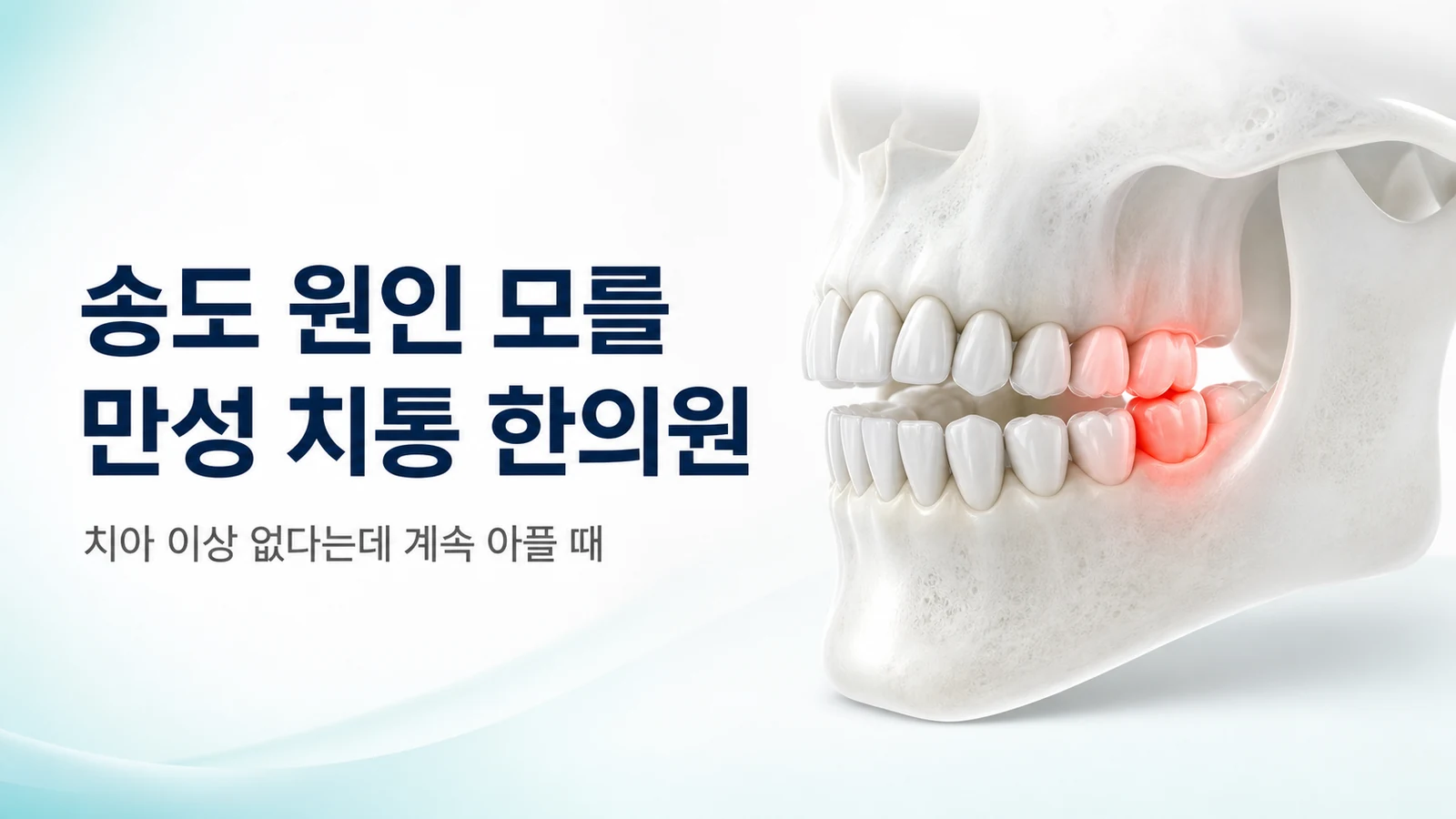 원인 모를 치통 — 치아는 정상인데 계속 아플 때