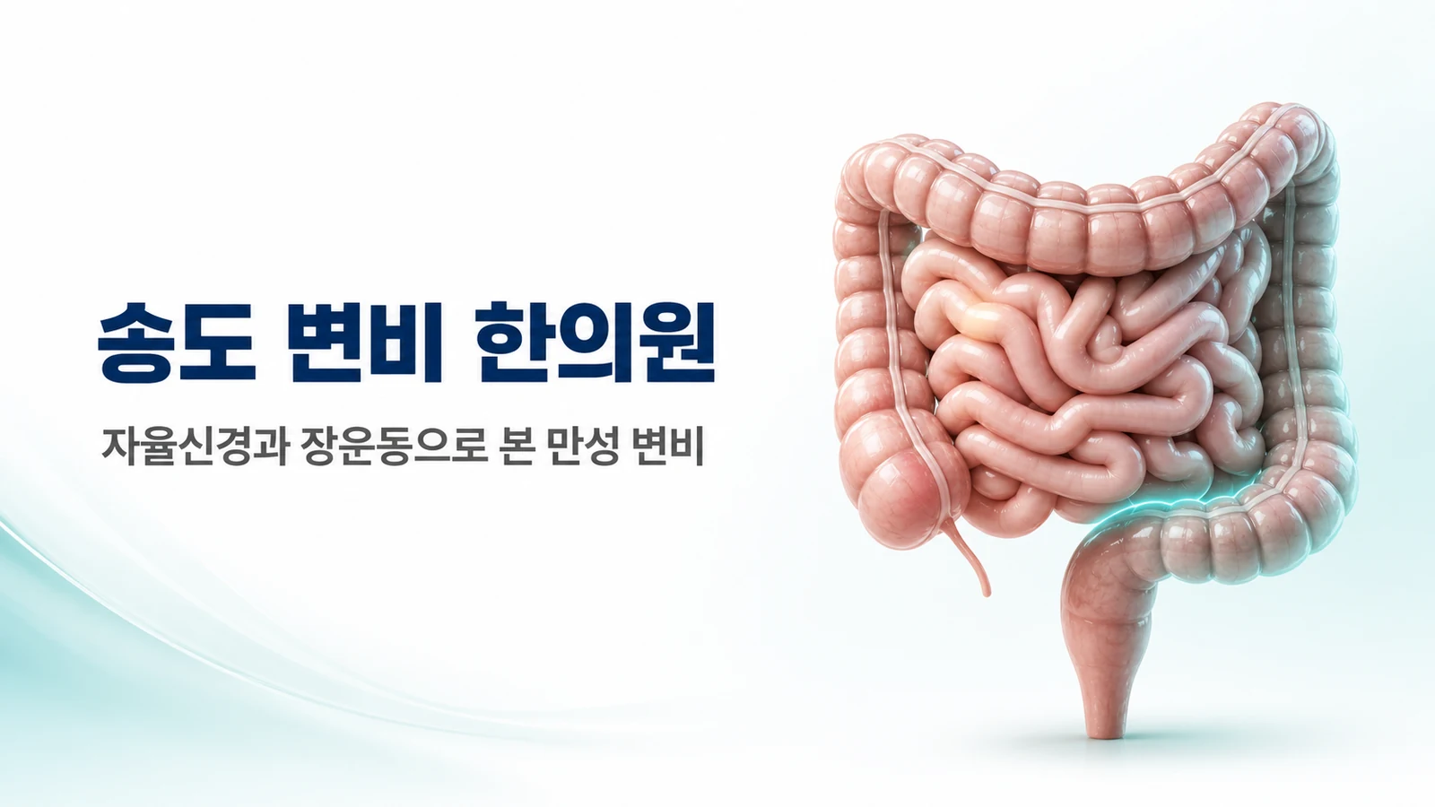 변비 — 자율신경과 장운동으로 본 만성 변비 치료