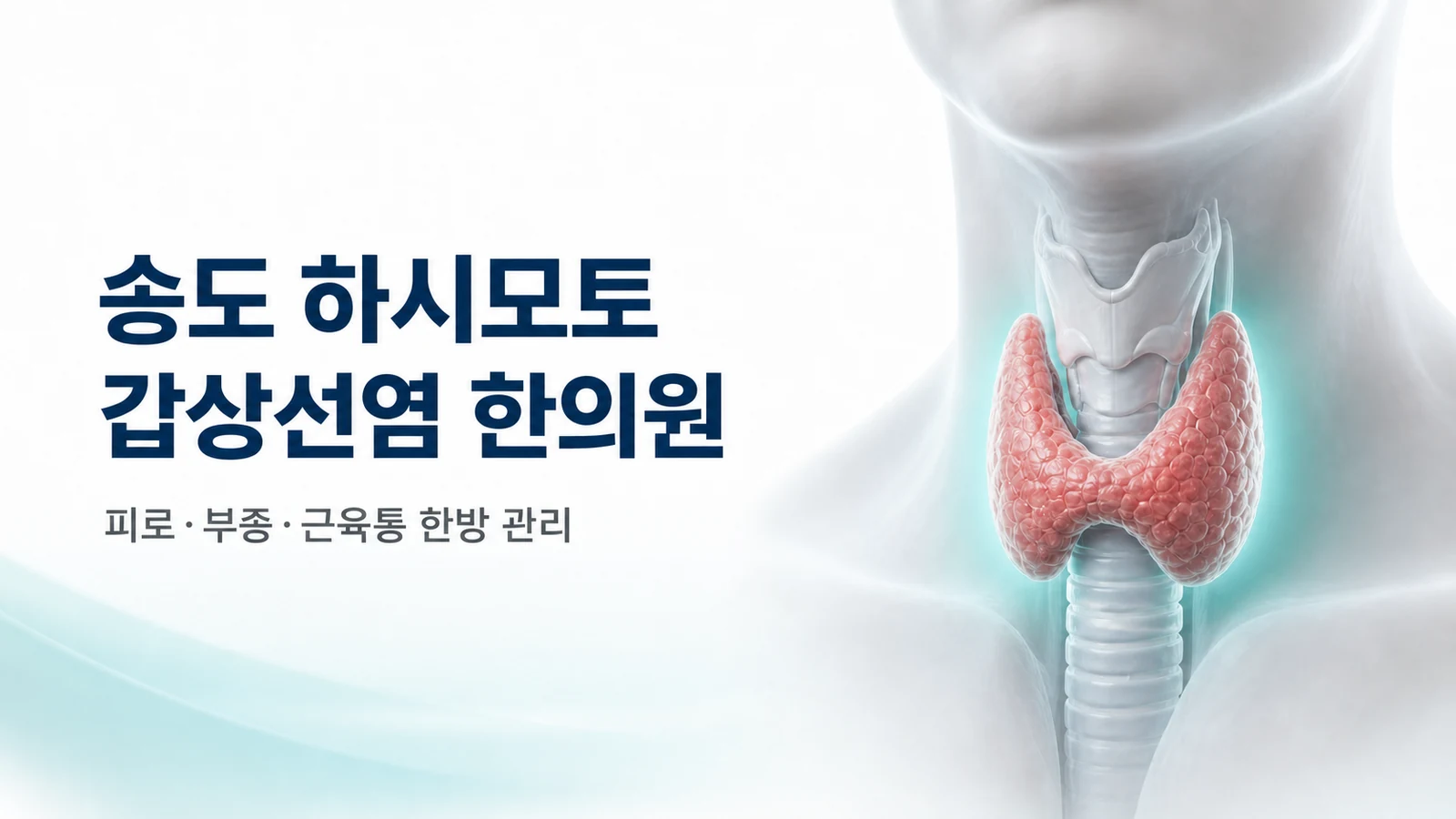 하시모토 갑상선염 — 피로·부종·근육통 한방 관리