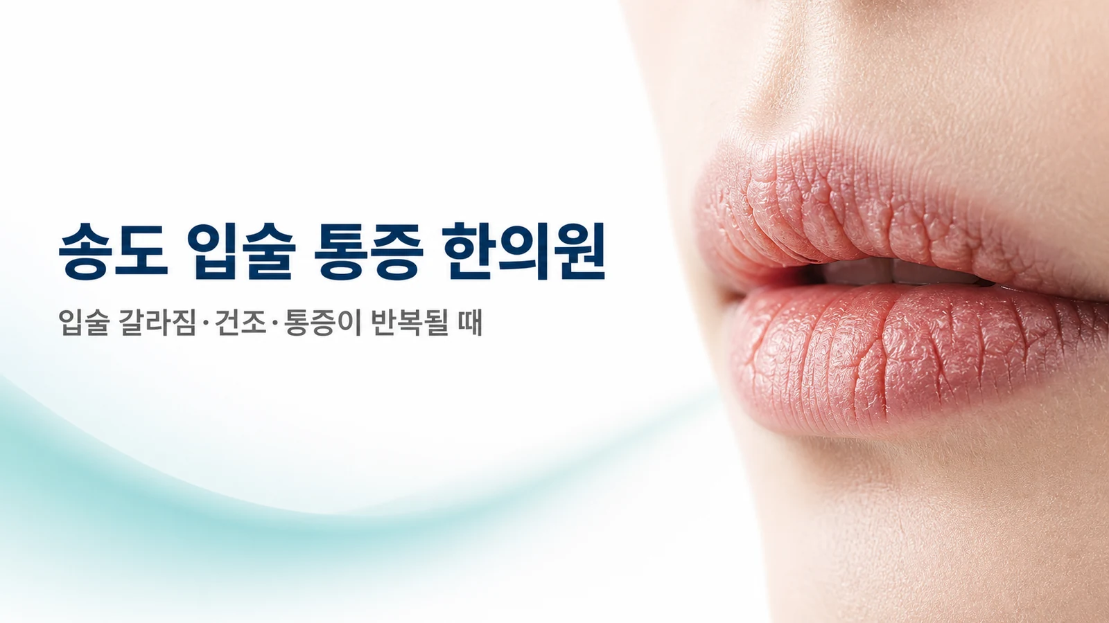 입술 통증 — 갈라짐·건조·통증이 반복될 때 원인과 치료