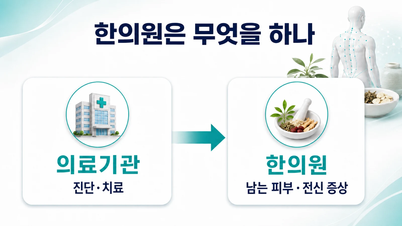 송도 나비모양 홍반 한의원의 접근