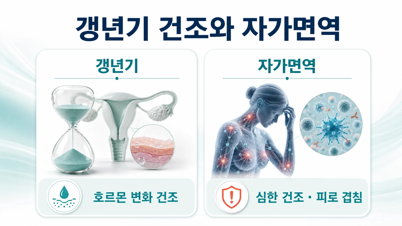 갱년기 건조와 자가면역