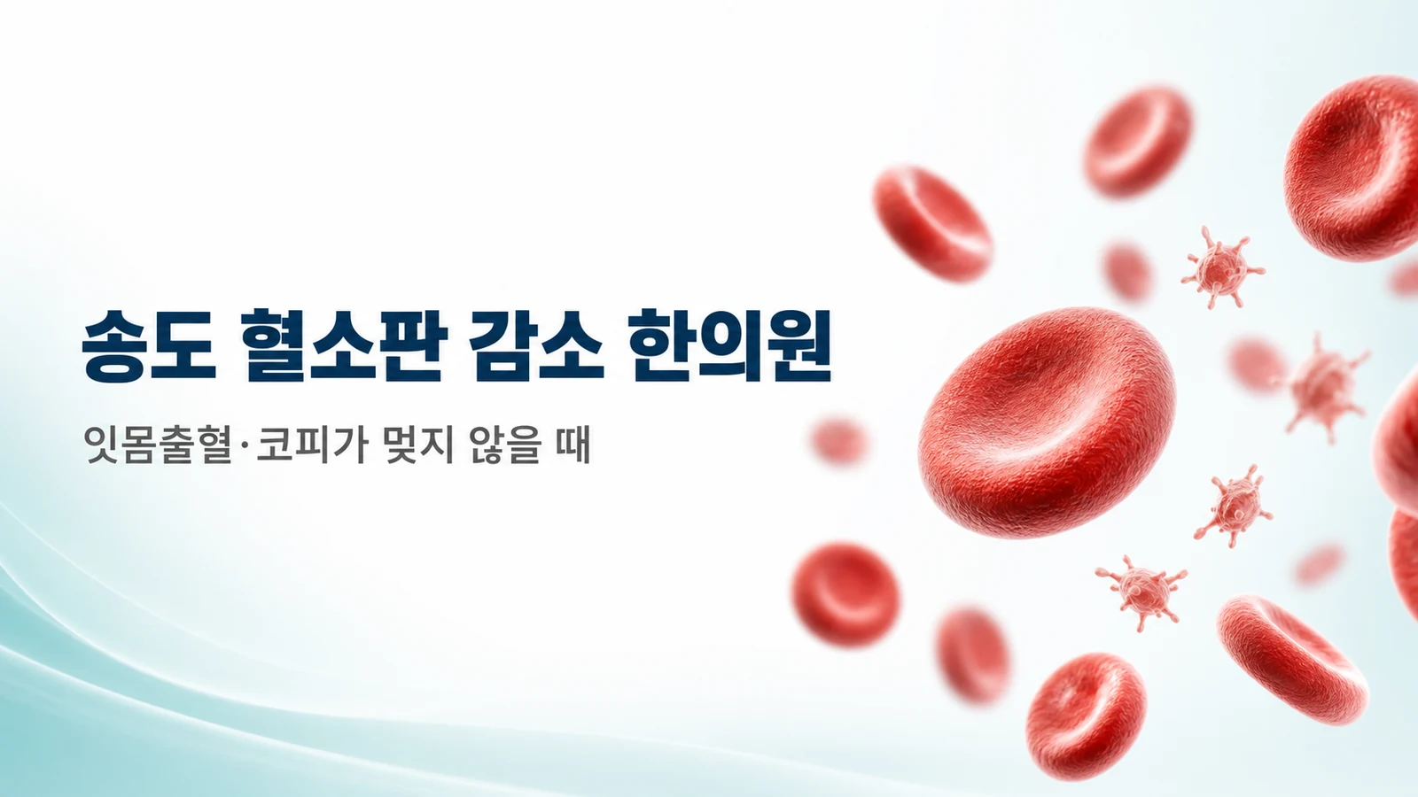 혈소판 감소 — 잇몸출혈·코피가 멎지 않을 때
