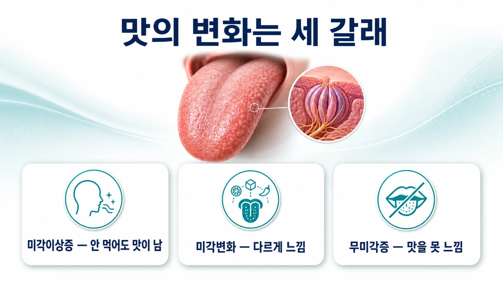 맛의 변화는 세 갈래로 나뉩니다 — 미각이상·미각변화·무미각
