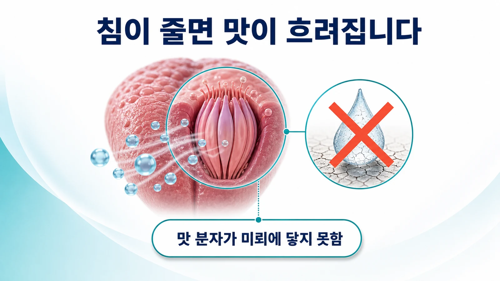침이 줄면 맛 분자가 미뢰에 닿지 못합니다